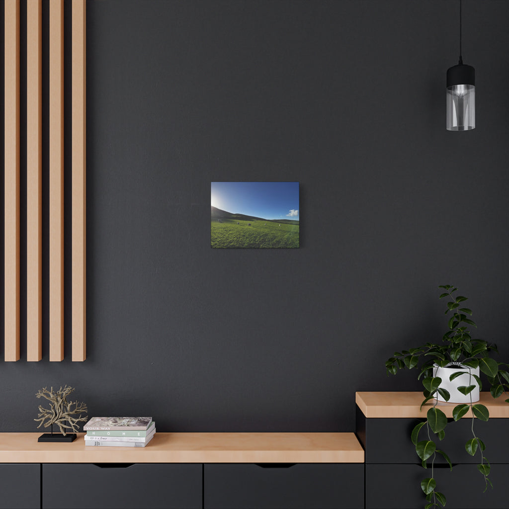 Irish sheep Pasture Canvas Print — Sheep Landscape Matte Stretched Wall Art
