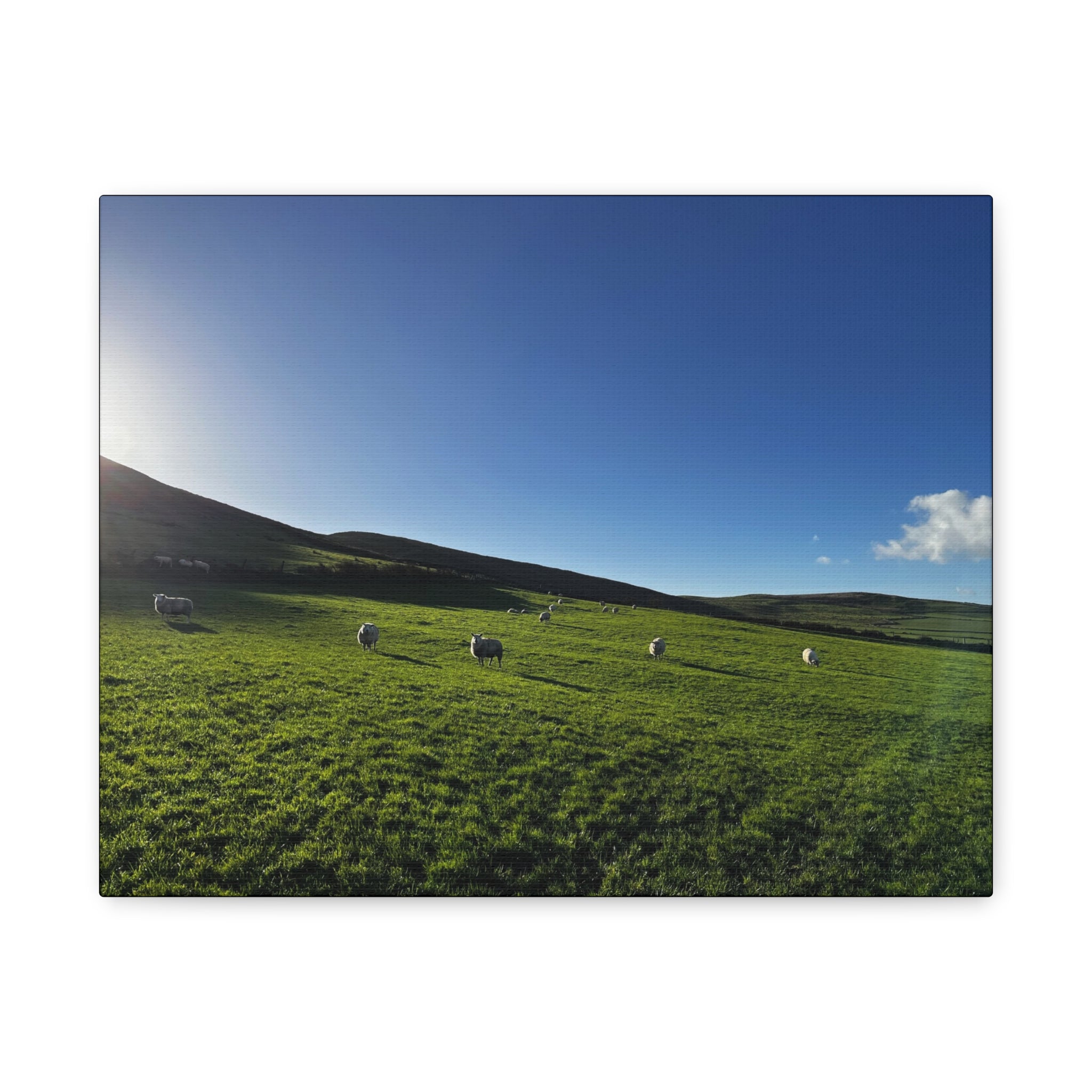 Irish sheep Pasture Canvas Print — Sheep Landscape Matte Stretched Wall Art
