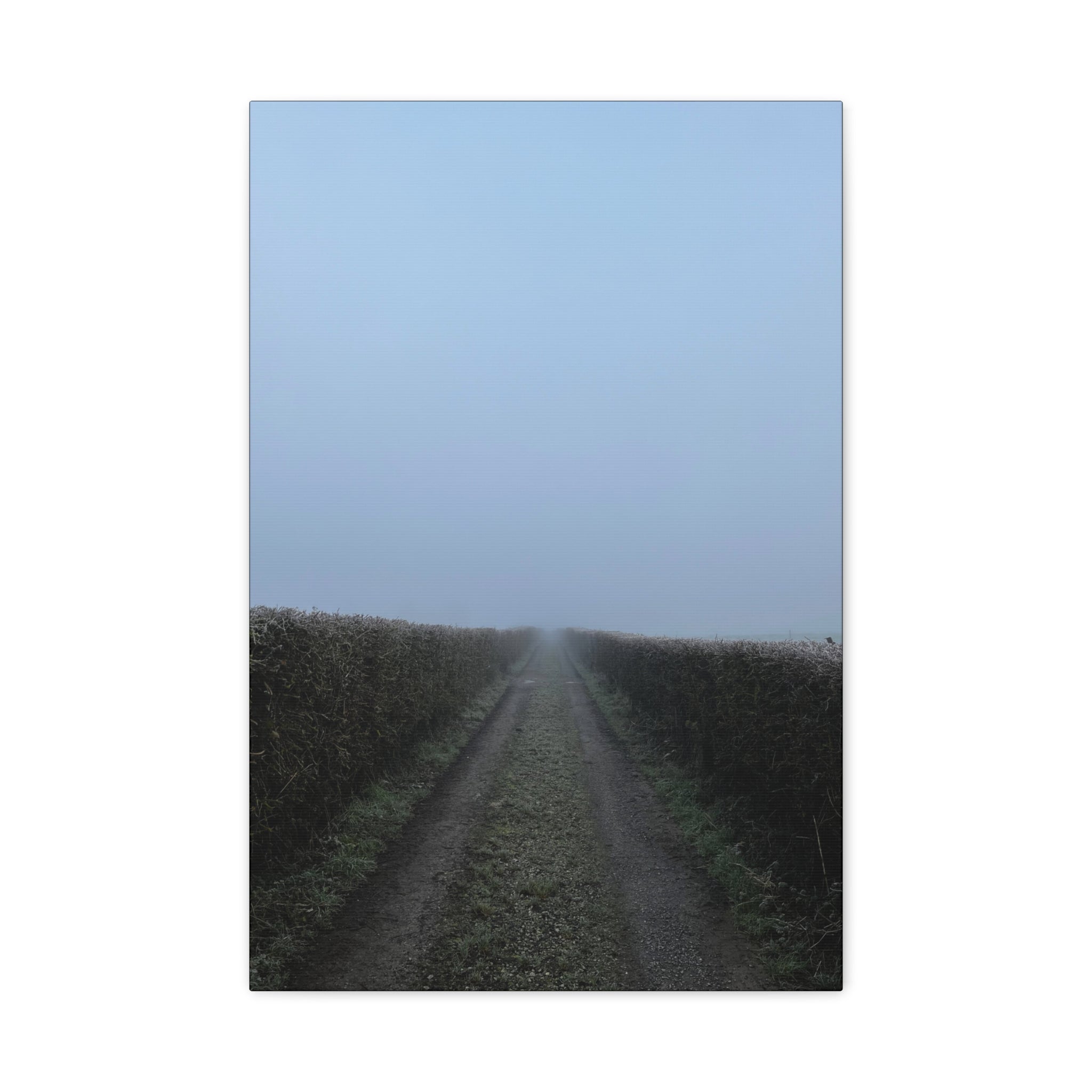 Foggy Country Lane Matte Canvas Wall Art — Stretched 1.25"