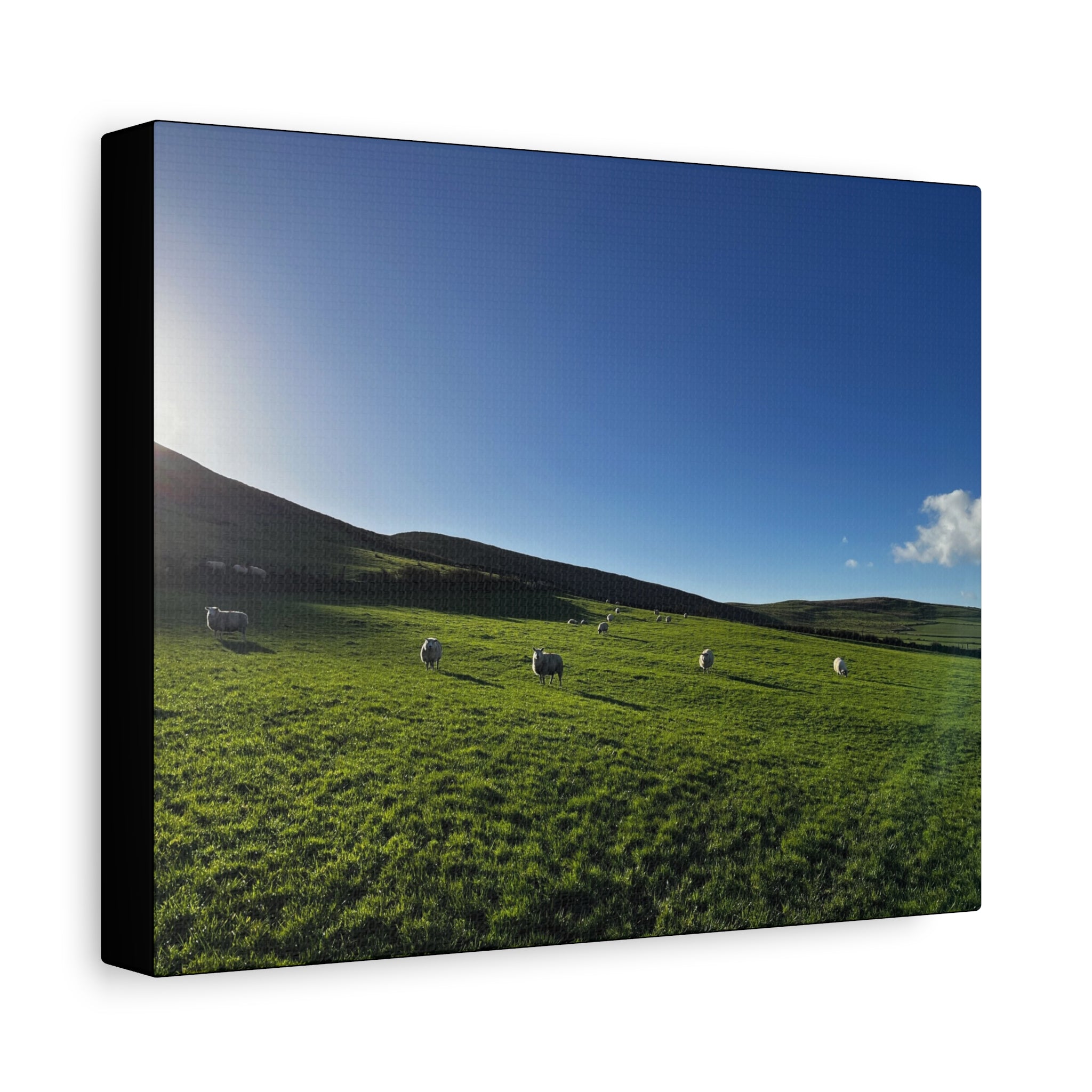 Irish sheep Pasture Canvas Print — Sheep Landscape Matte Stretched Wall Art