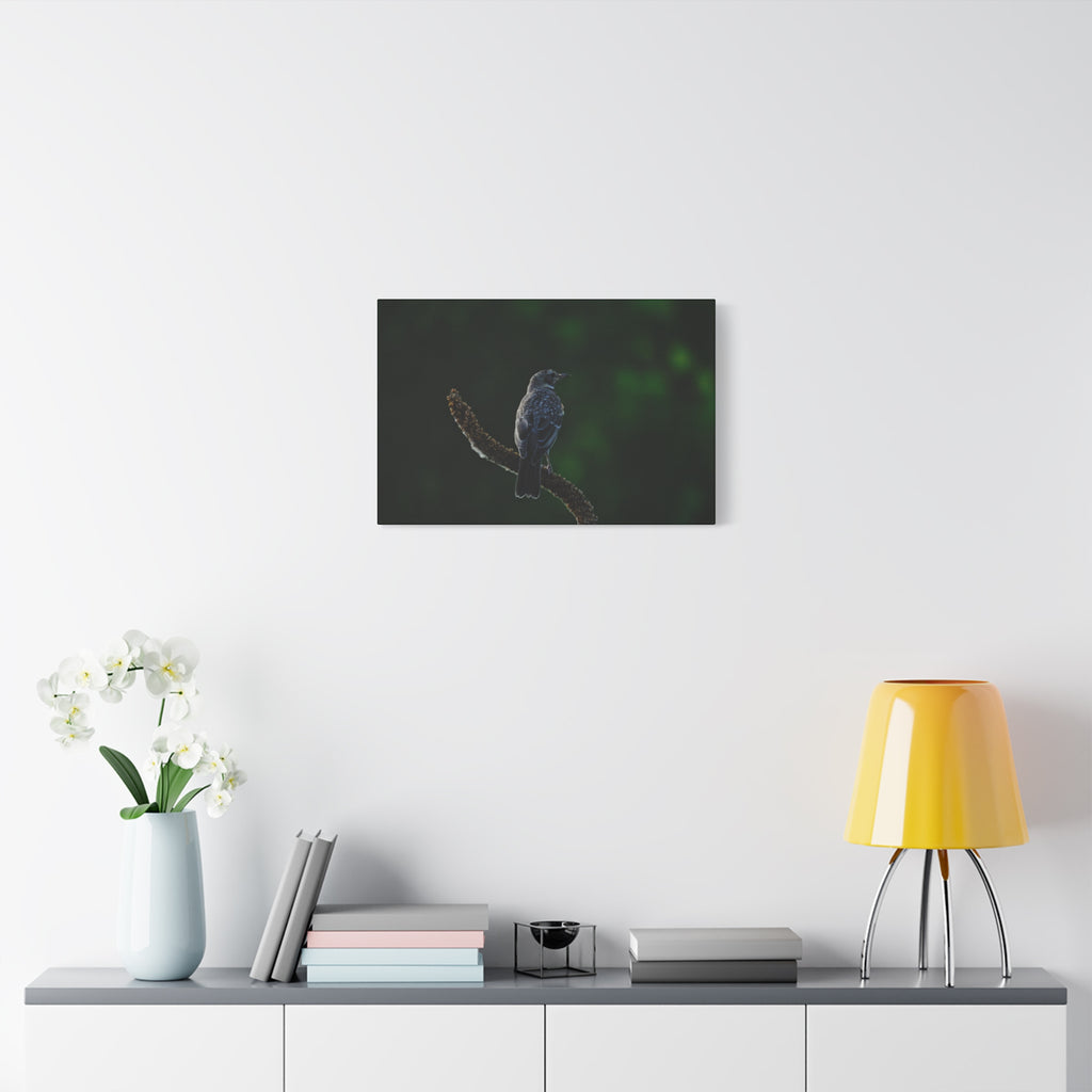 Robin on Branch Matte Canvas Wall Art — Moody Nature Photography Print