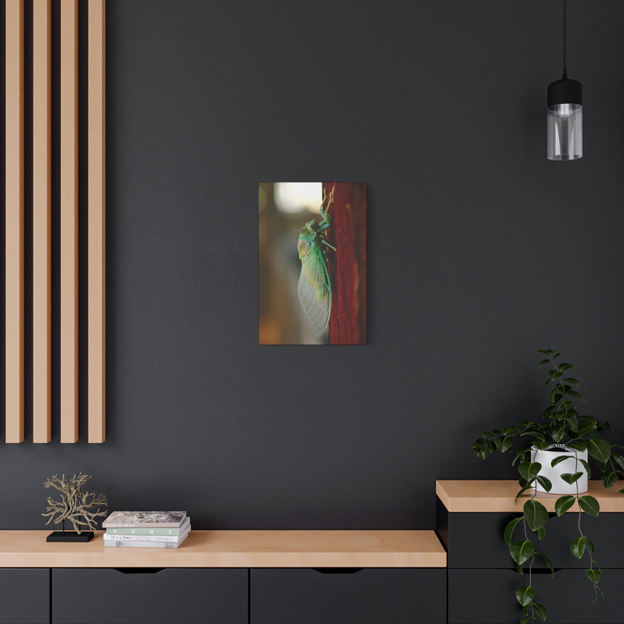 Cicada Close-Up Matte Canvas Print — Stretched 1.25" Nature Wall Art