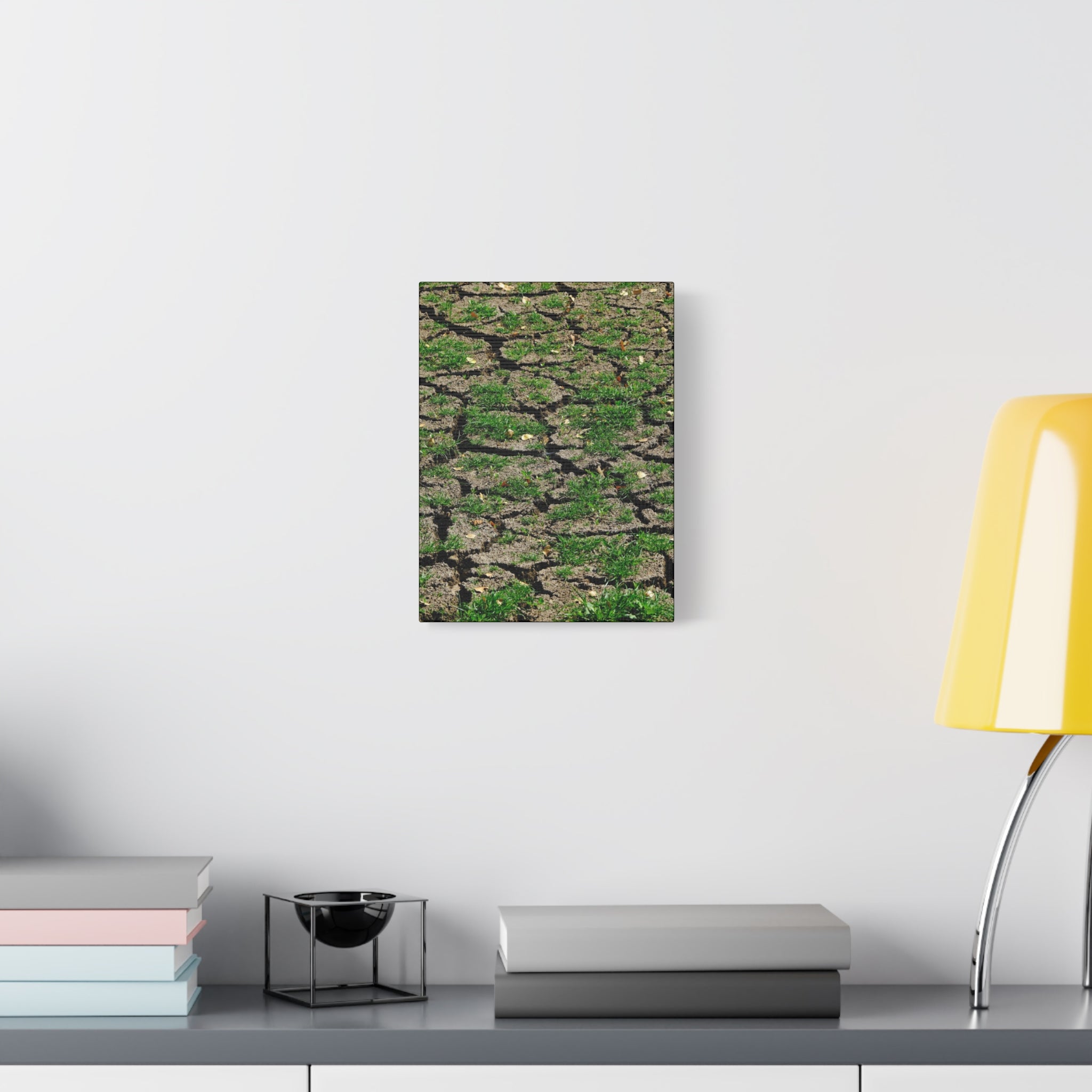 Life Finds A Way Canvas Print — Cracked Earth with Green Grass Matte Stretched Canvas (1.25")