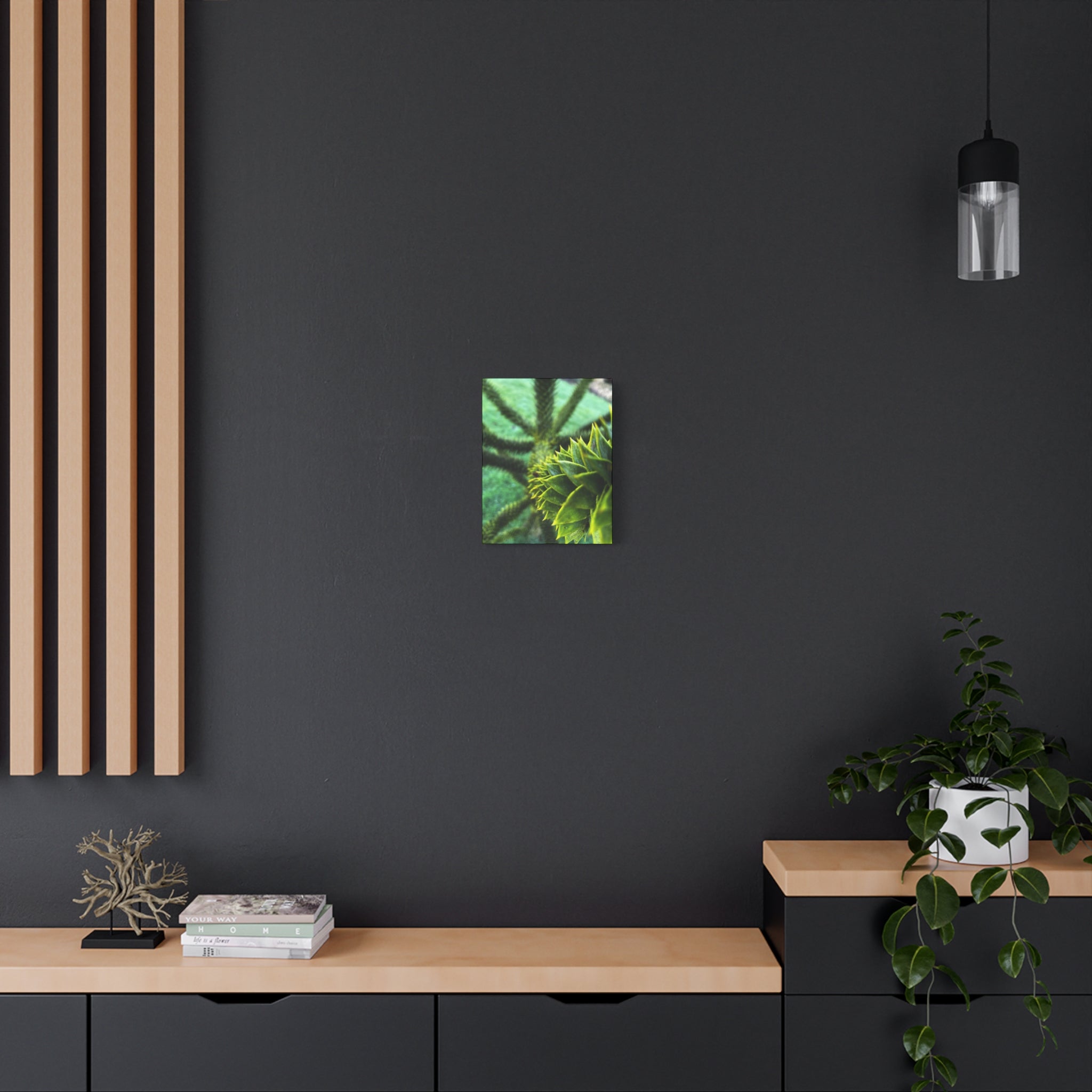 Irish Green Succulent Canvas Wall Art – Matte Stretched 1.25"