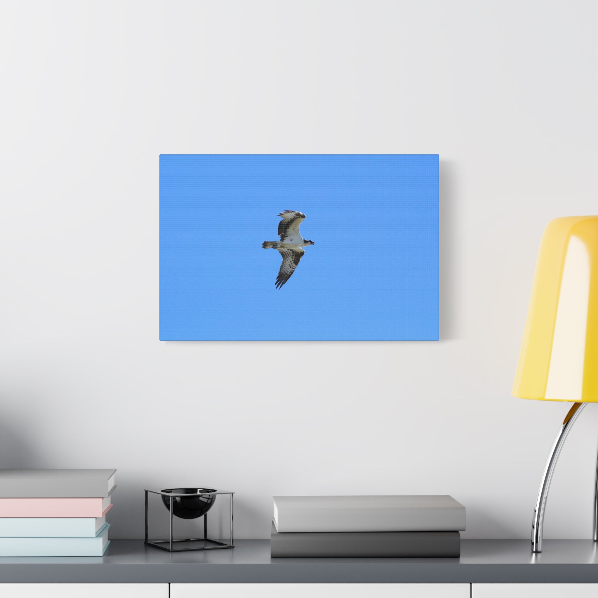 Osprey in Flight Matte Canvas Print — Stretched Wall Art