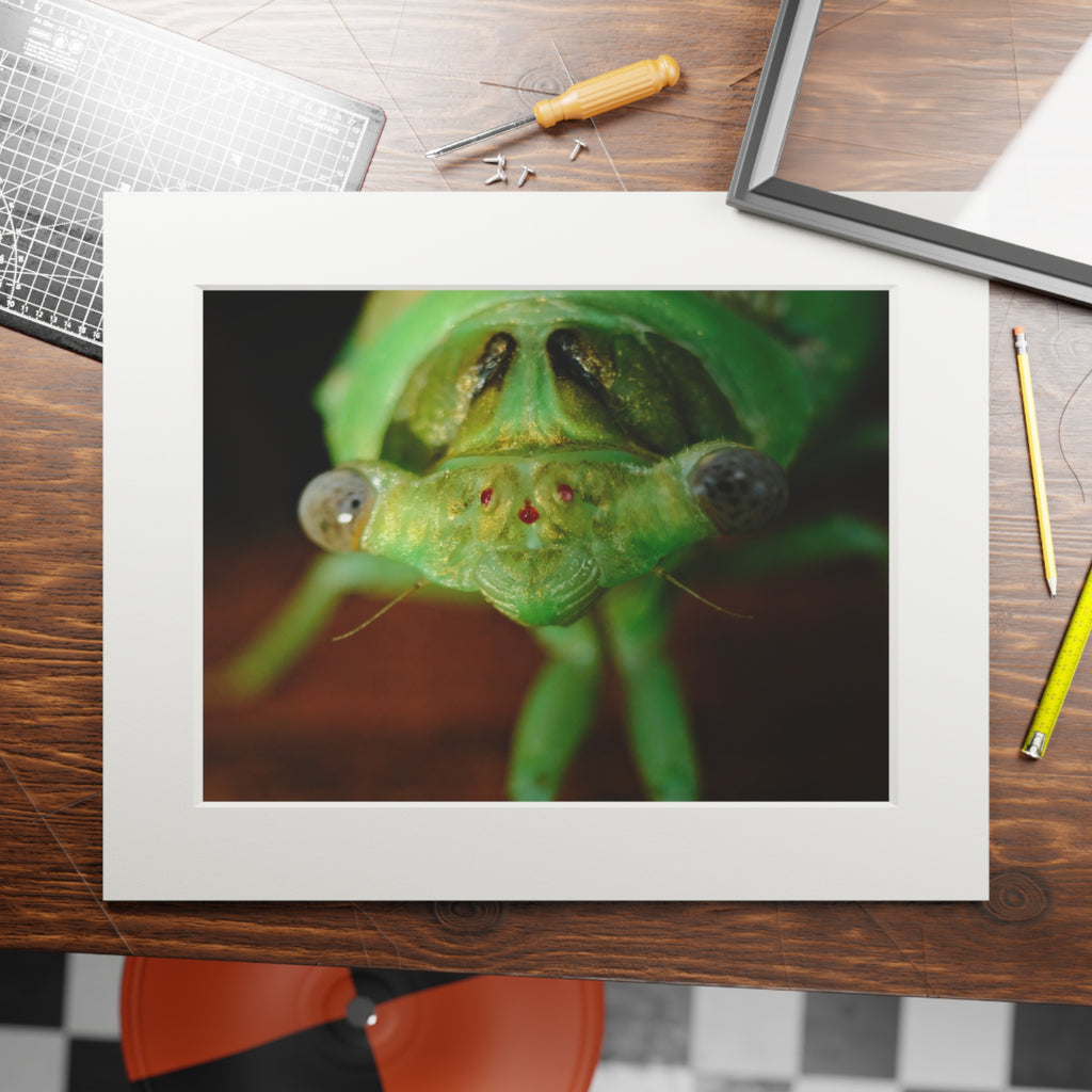Cicada Macro Fine Art Print — Green Insect Close-Up with Passepartout
