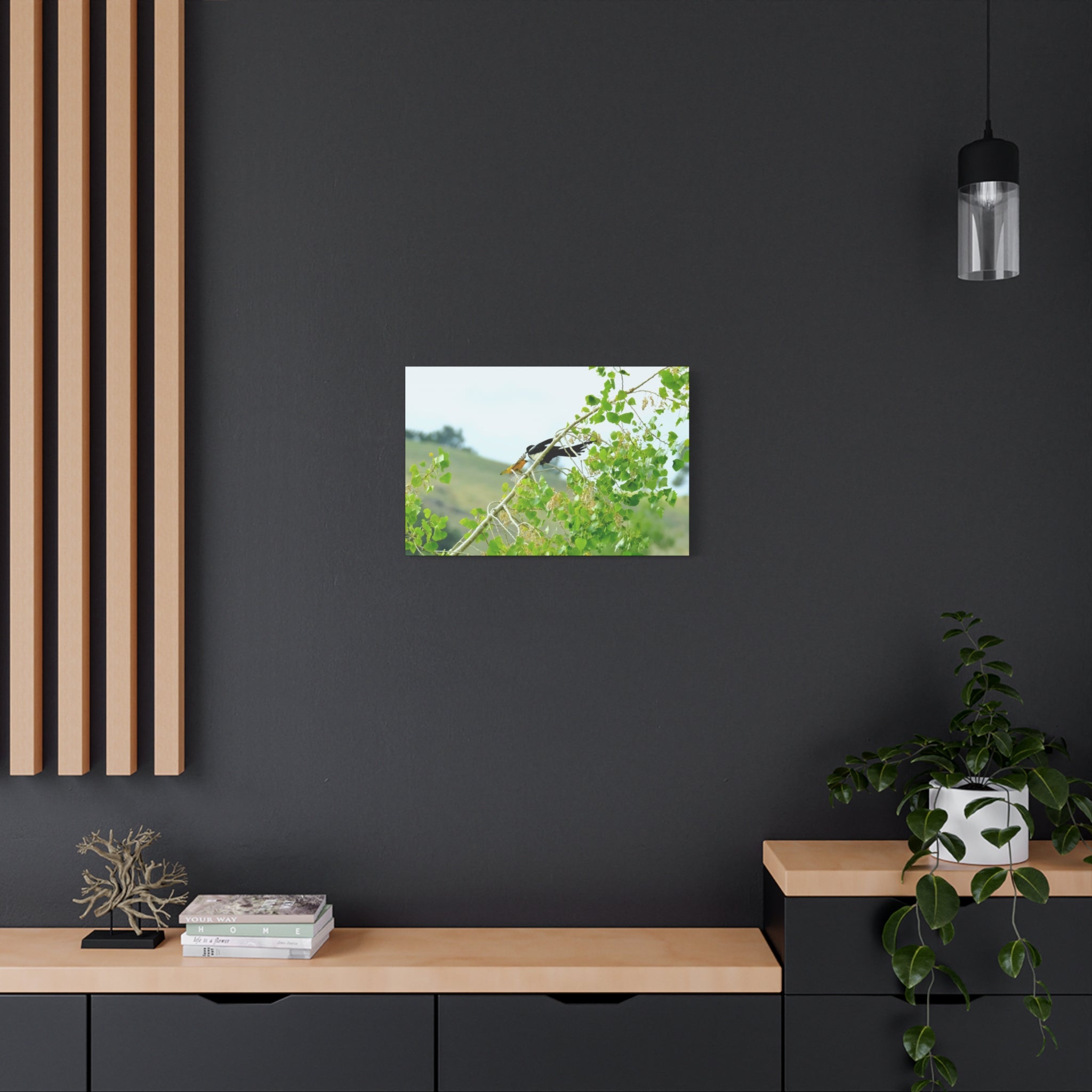 Oriole & Magpie Battle on an Aspen Branch - Matte Stretched Canvas Wall Art