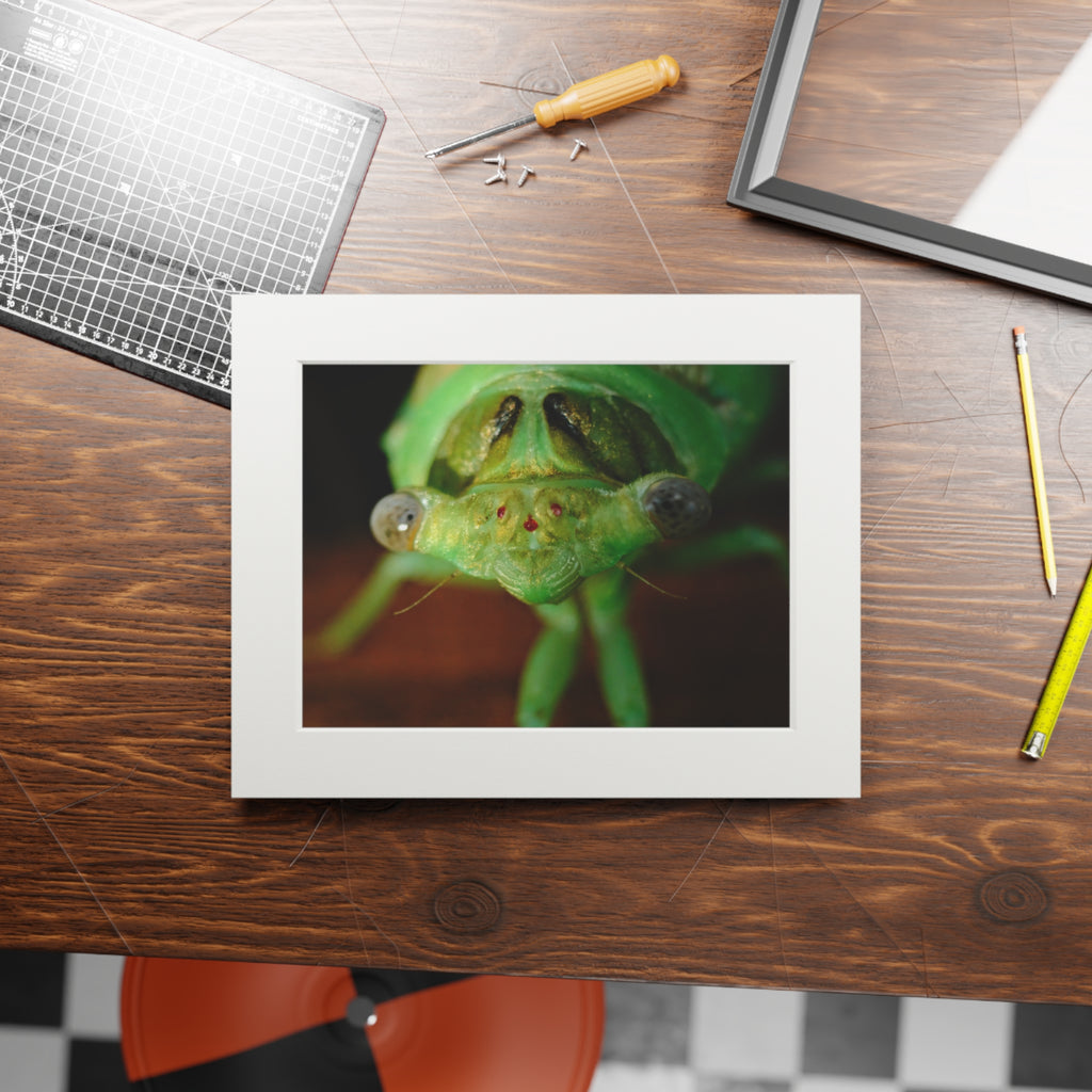 Cicada Macro Fine Art Print — Green Insect Close-Up with Passepartout