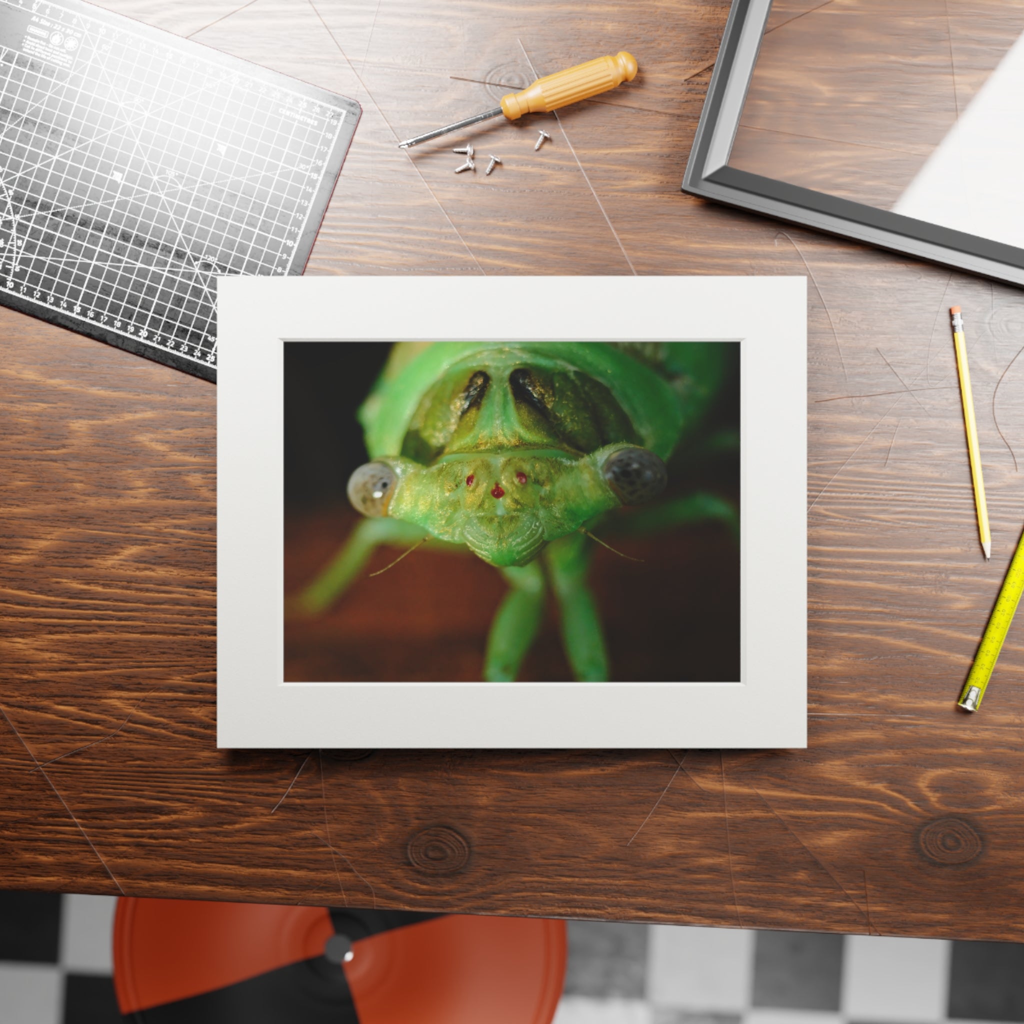 Cicada Macro Fine Art Print — Green Insect Close-Up with Passepartout
