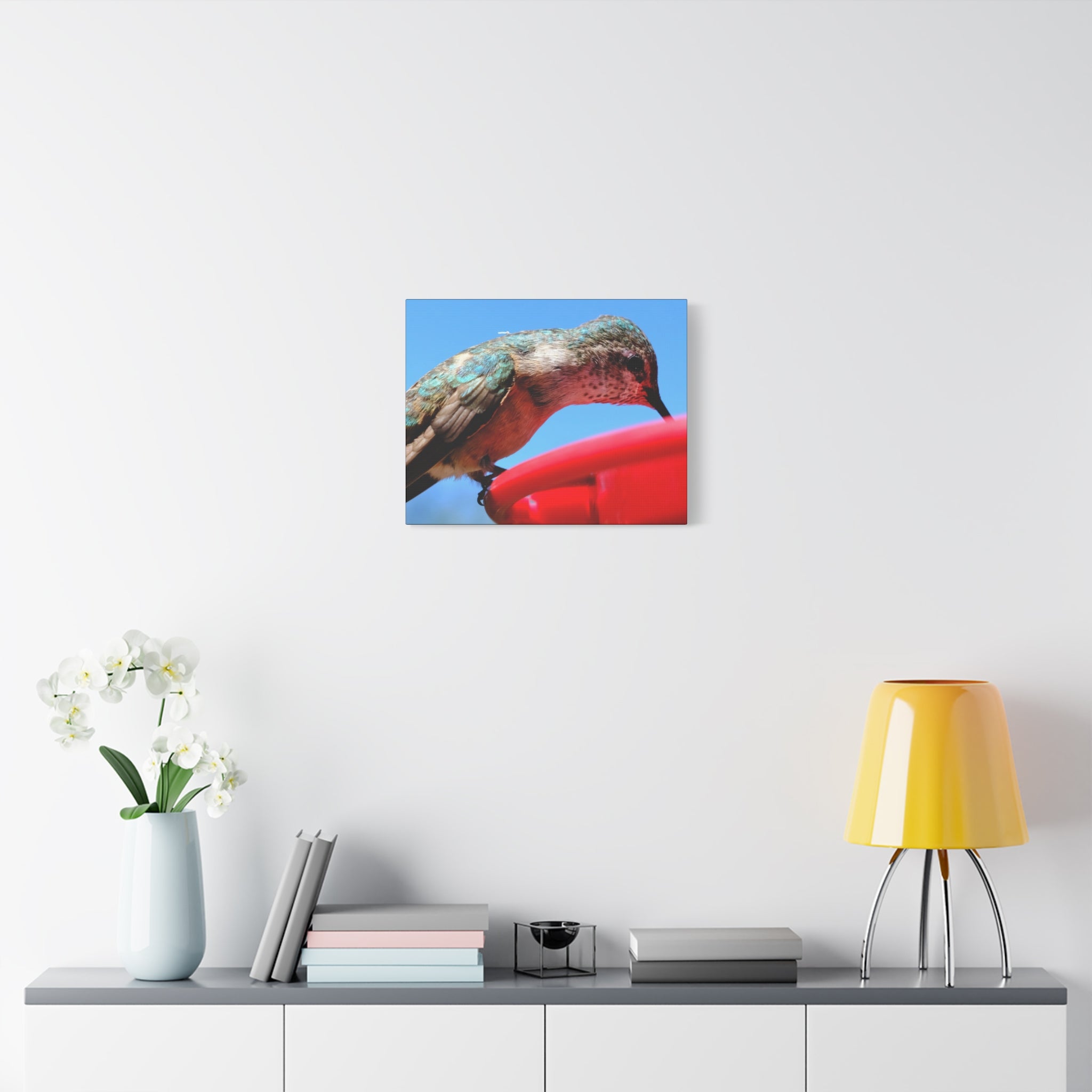 Hummingbird Close Up Canvas Print — Stretched Matte Wall Art