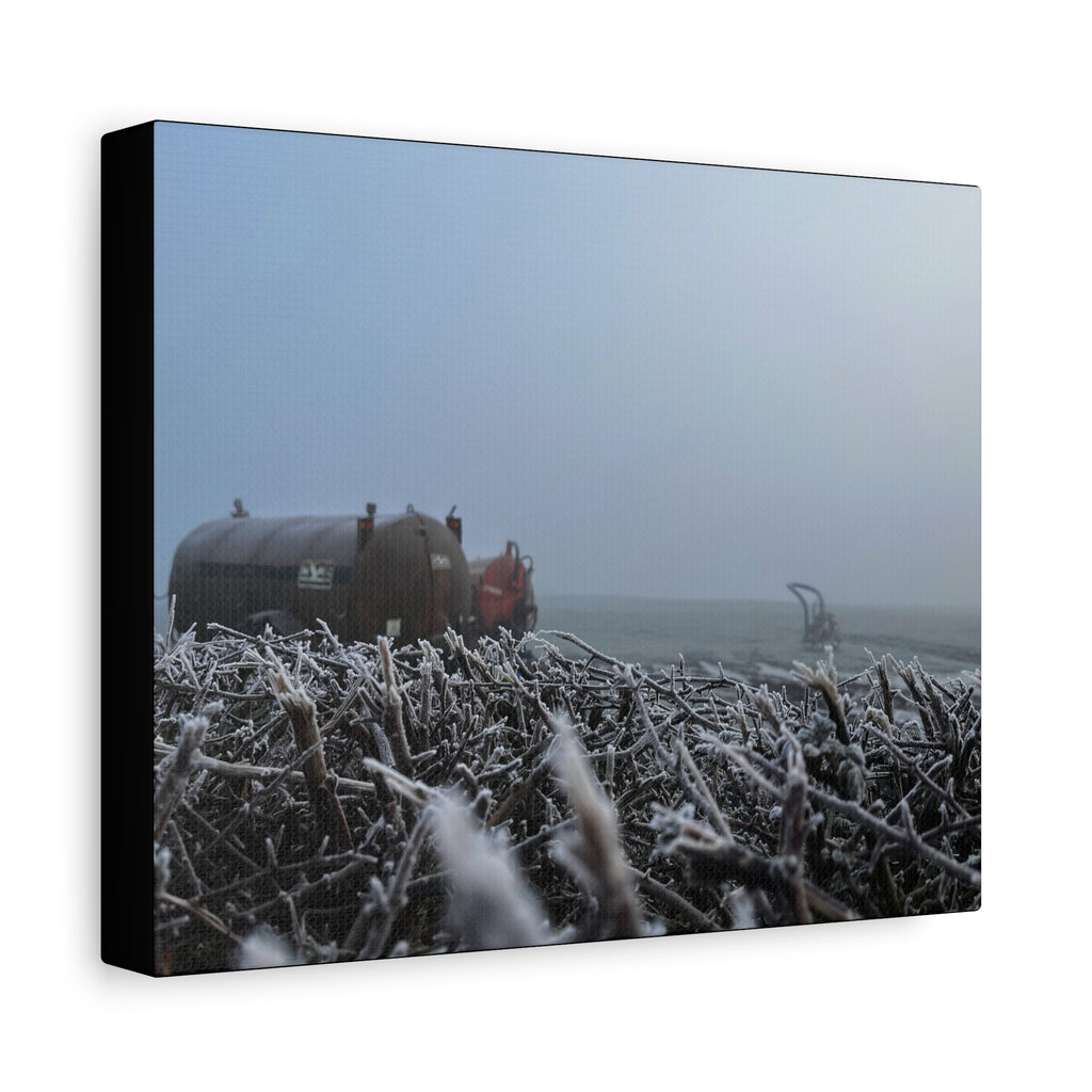 Irish Frost Farm Canvas Print — Foggy Shoreline with Frosted Driftwood