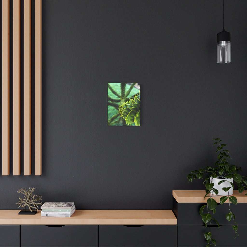 Irish Green Succulent Canvas Wall Art – Matte Stretched 1.25"