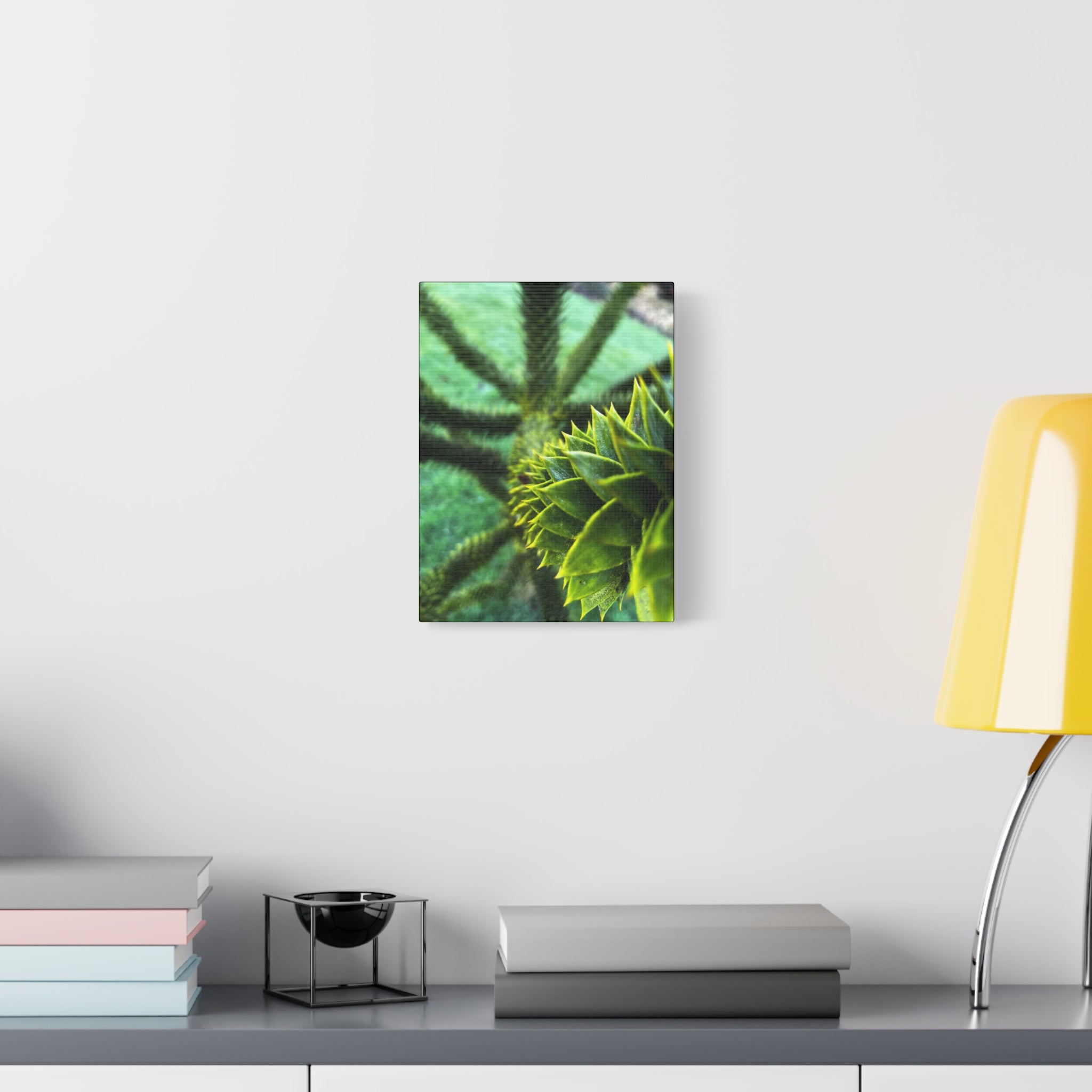 Irish Green Succulent Canvas Wall Art – Matte Stretched 1.25"