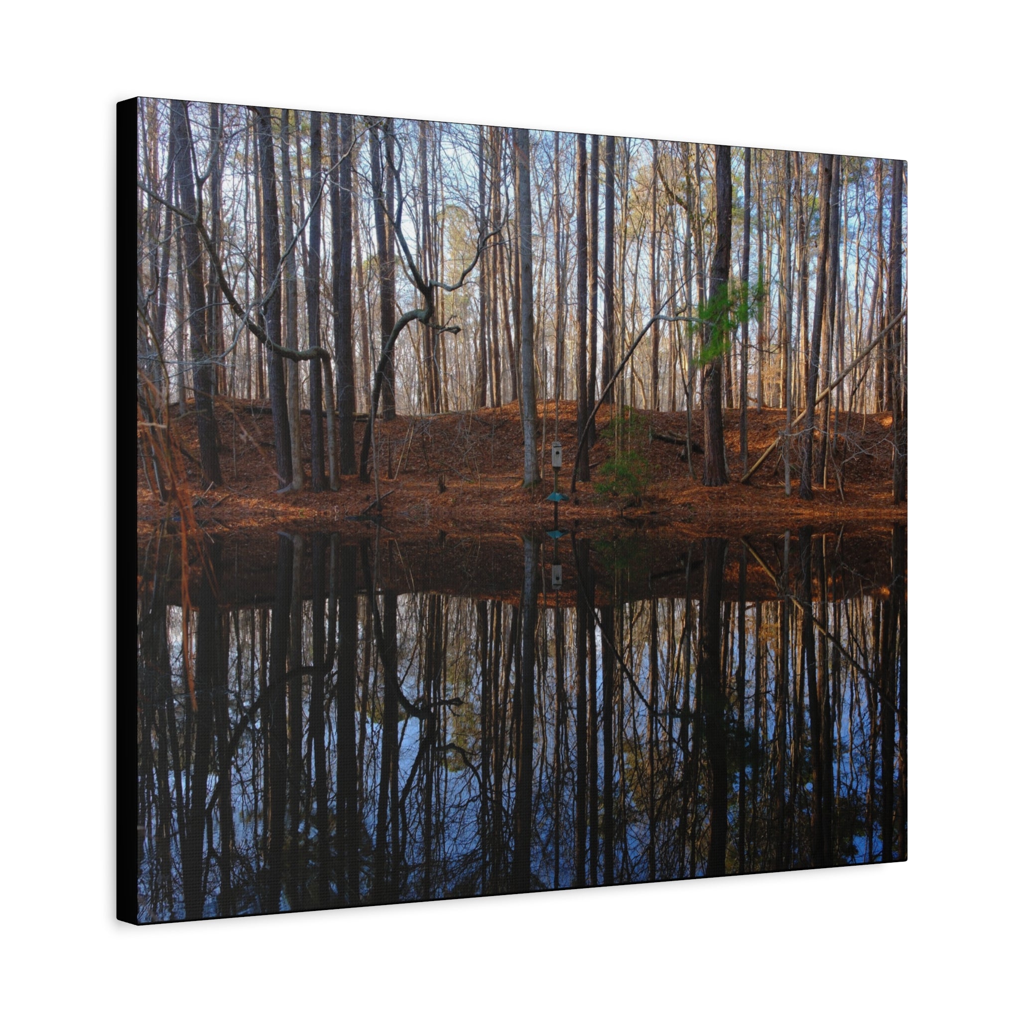 Woodland Reflection Matte Canvas Art – Stretched 1.25" Wall Decor