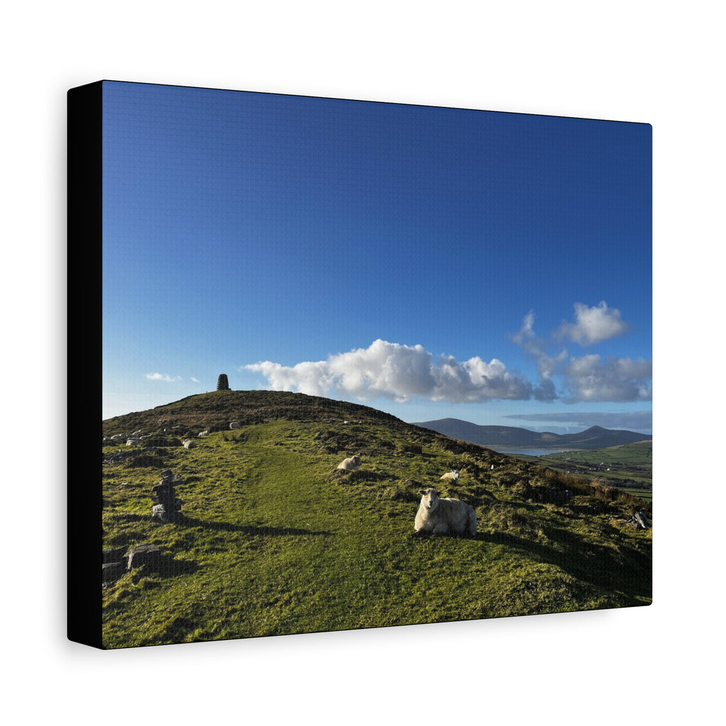 Sheep Lookout Canvas Print – Rolling Green Hills with Blue Sky