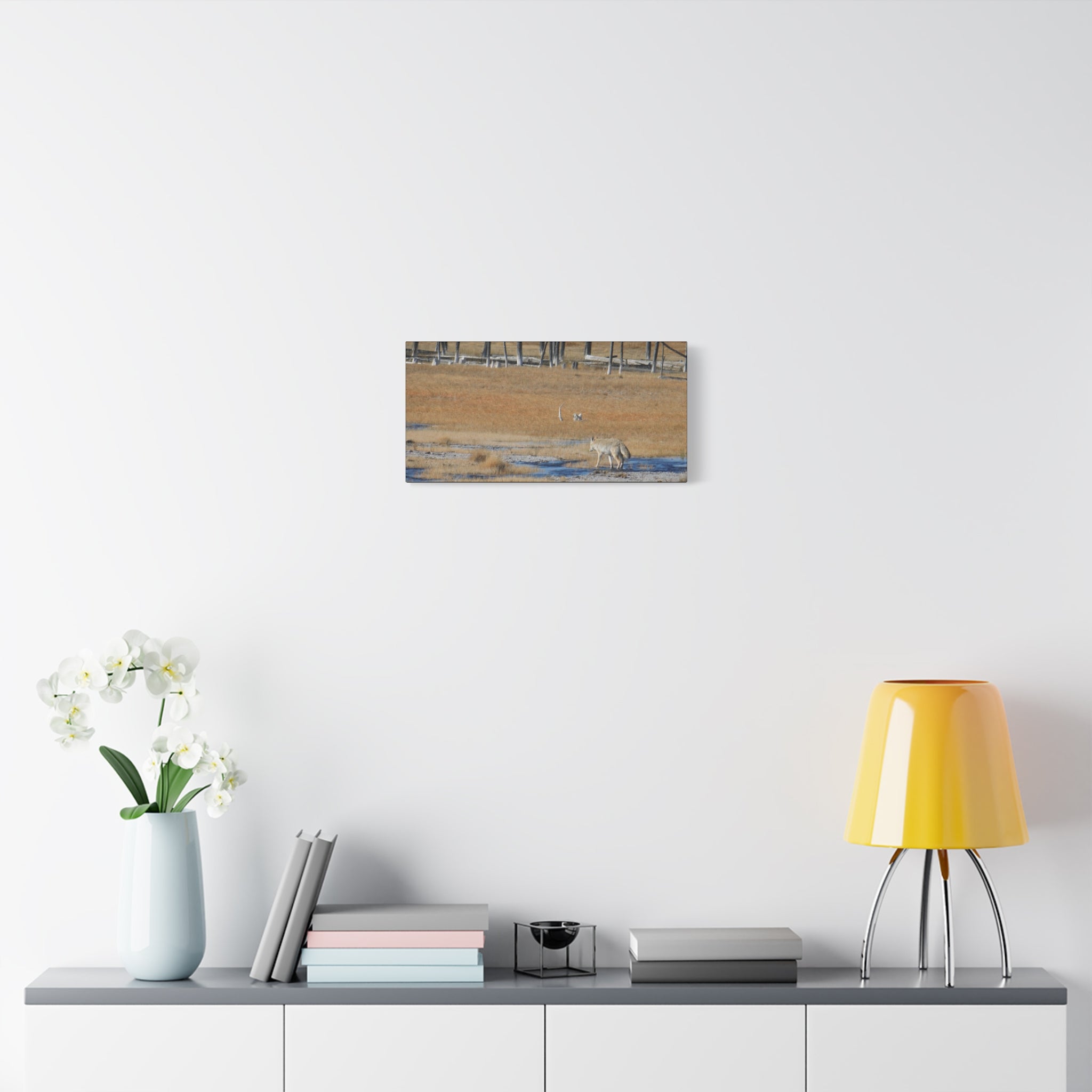 Coyote Canvas Wall Art — Wildlife Landscape Matte Stretched Print