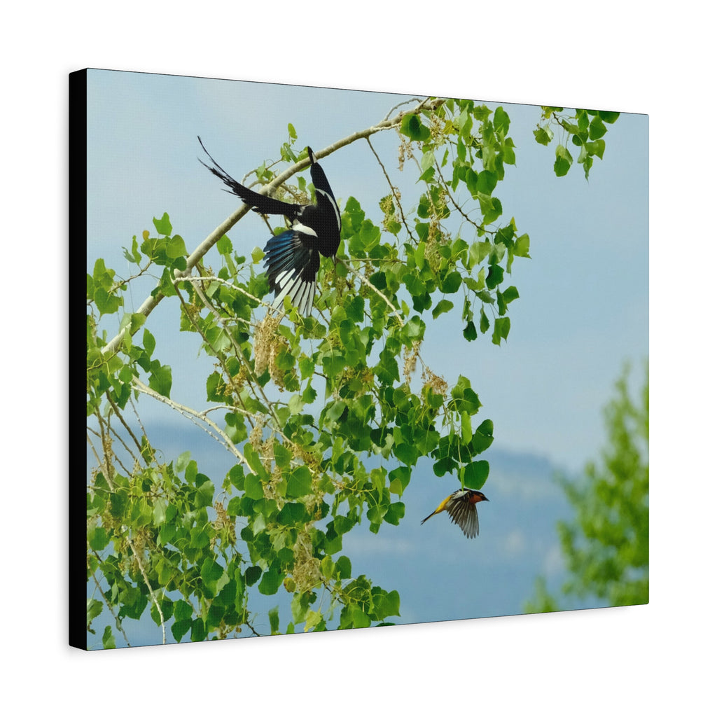 Birds in Flight Matte Canvas Wall Art — Spring Tree Branch Nature Print