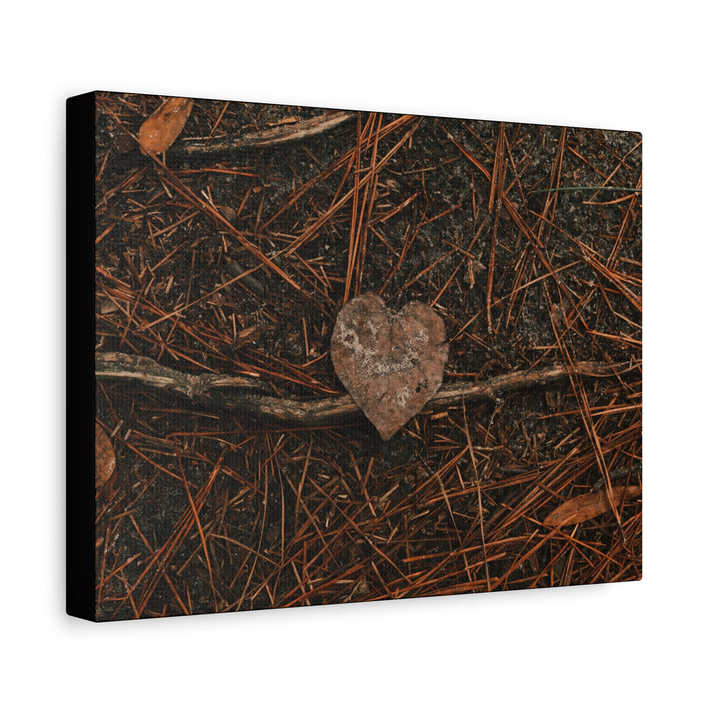 Love Your Forest Canvas Print – Rustic Nature Wall Art