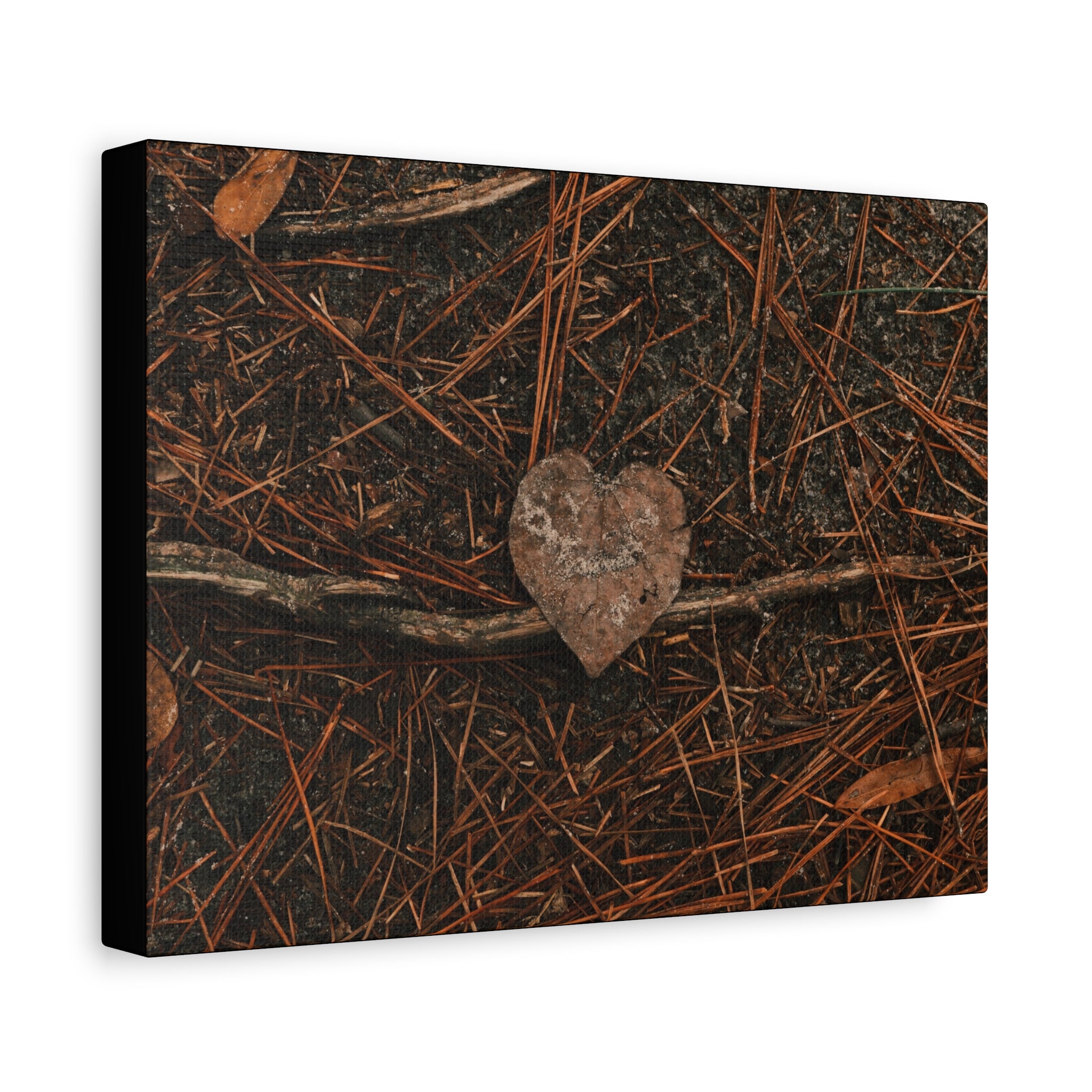 Love Your Forest Canvas Print – Rustic Nature Wall Art