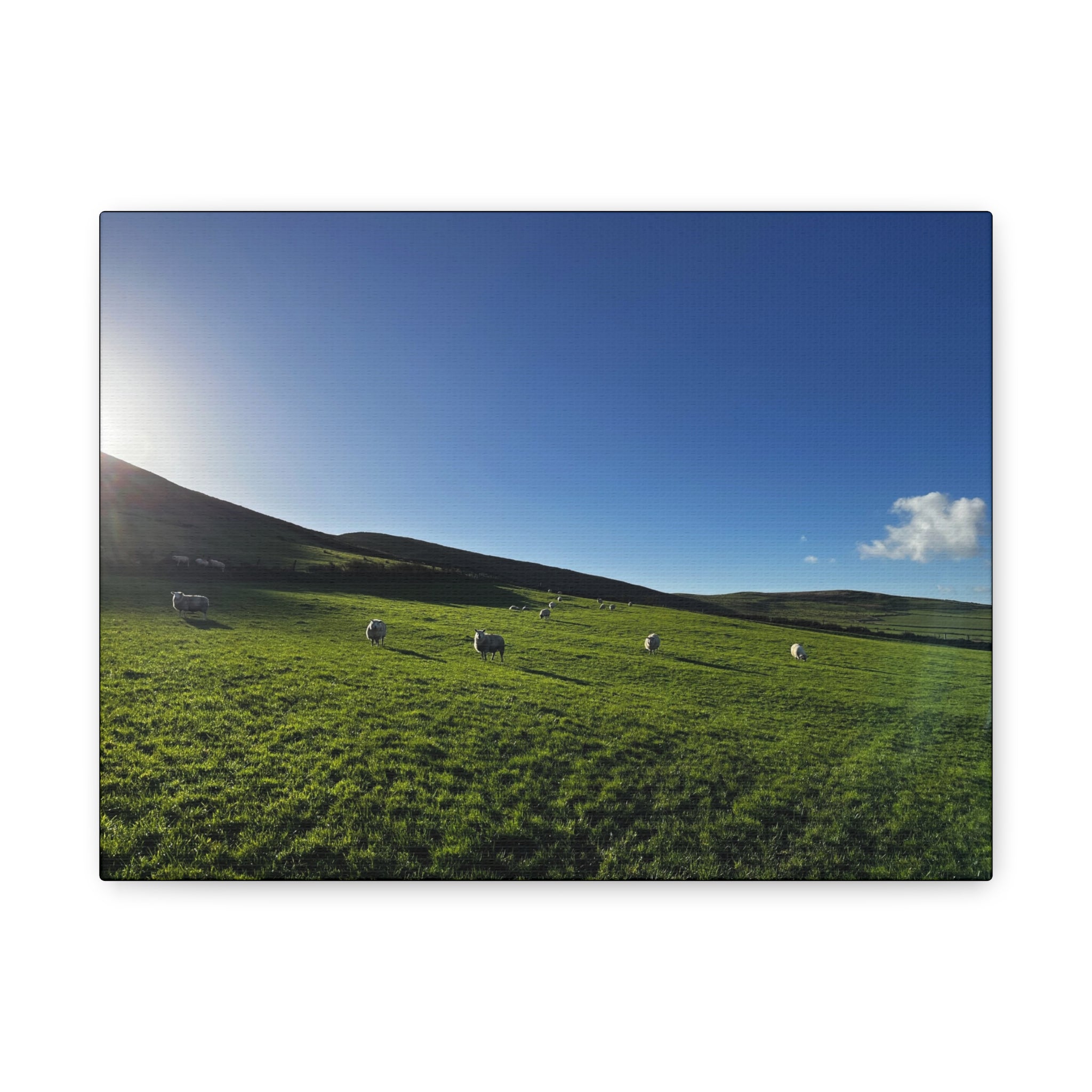 Irish sheep Pasture Canvas Print — Sheep Landscape Matte Stretched Wall Art