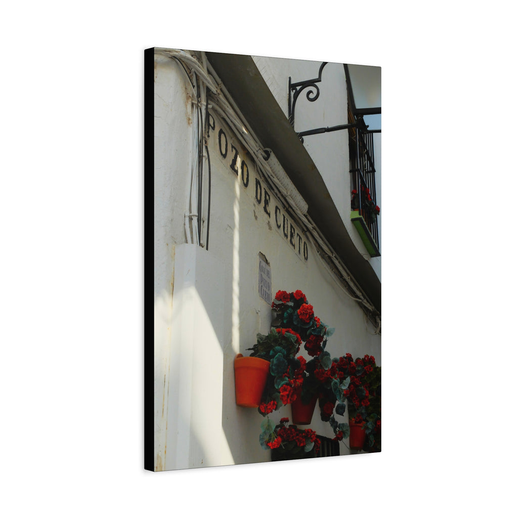 Spanish Street Flowers Canvas Print — 'Pozo de Cueto' Wall Art