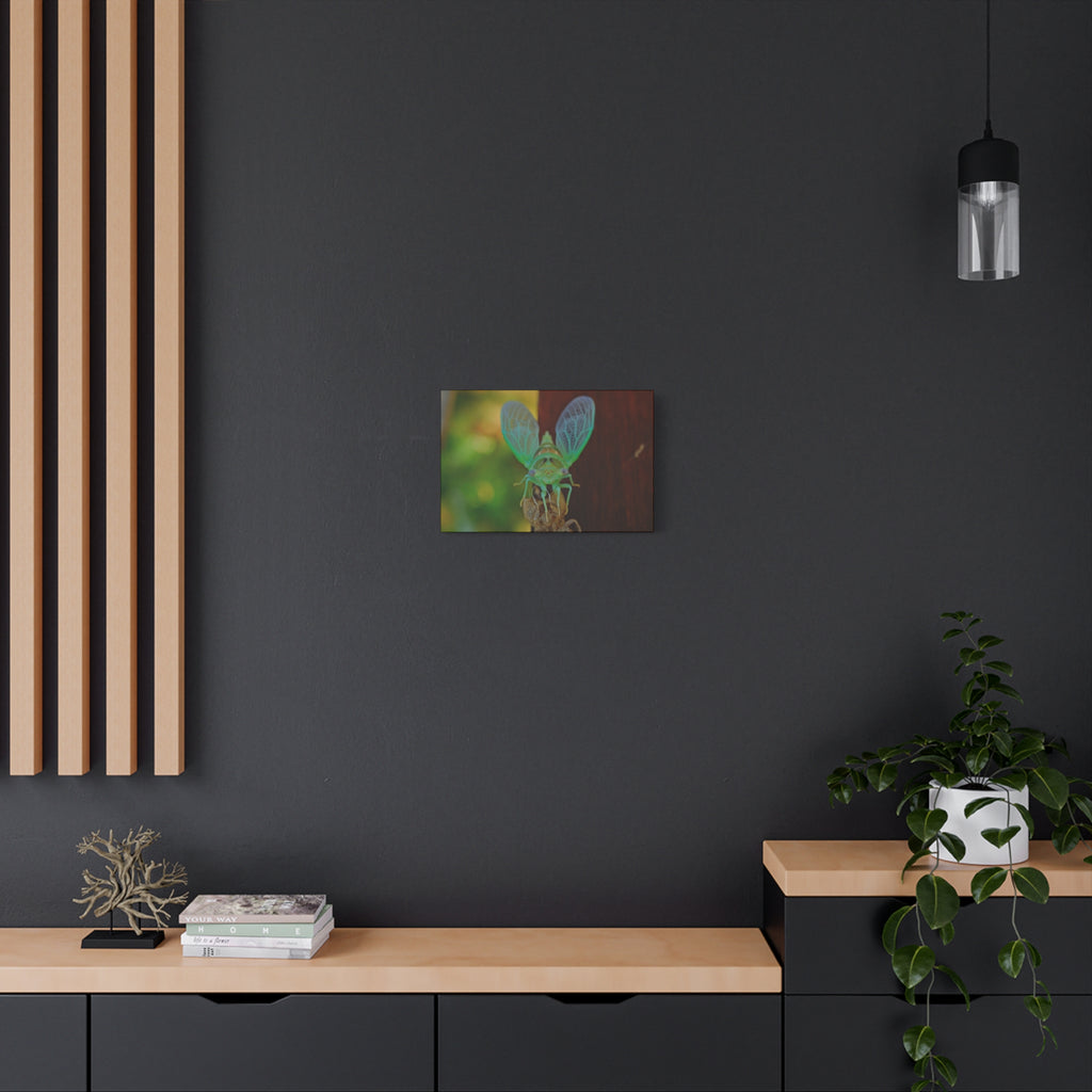 The Cutest Green Cicada Canvas Print - Matte Stretched Wall Art