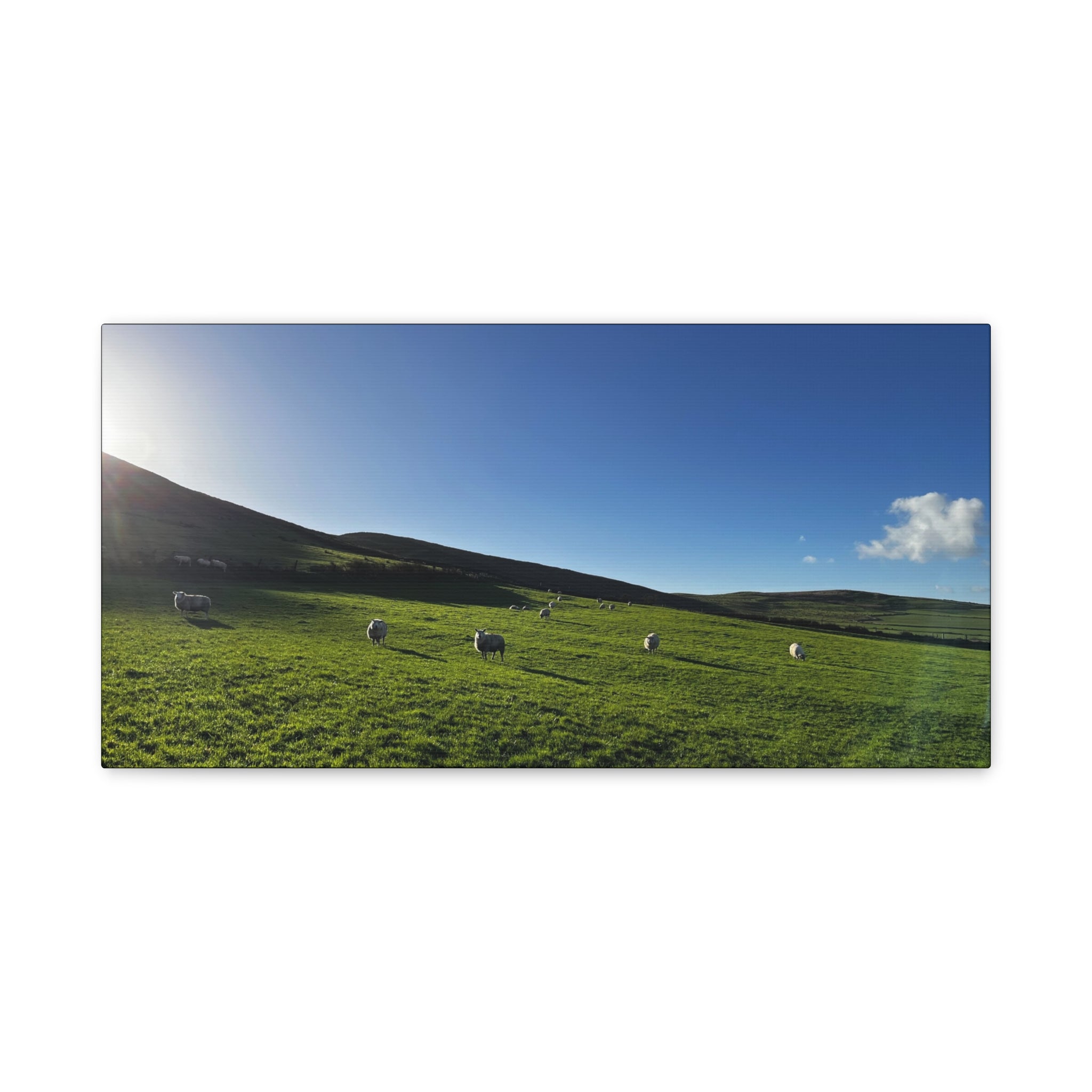 Irish sheep Pasture Canvas Print — Sheep Landscape Matte Stretched Wall Art