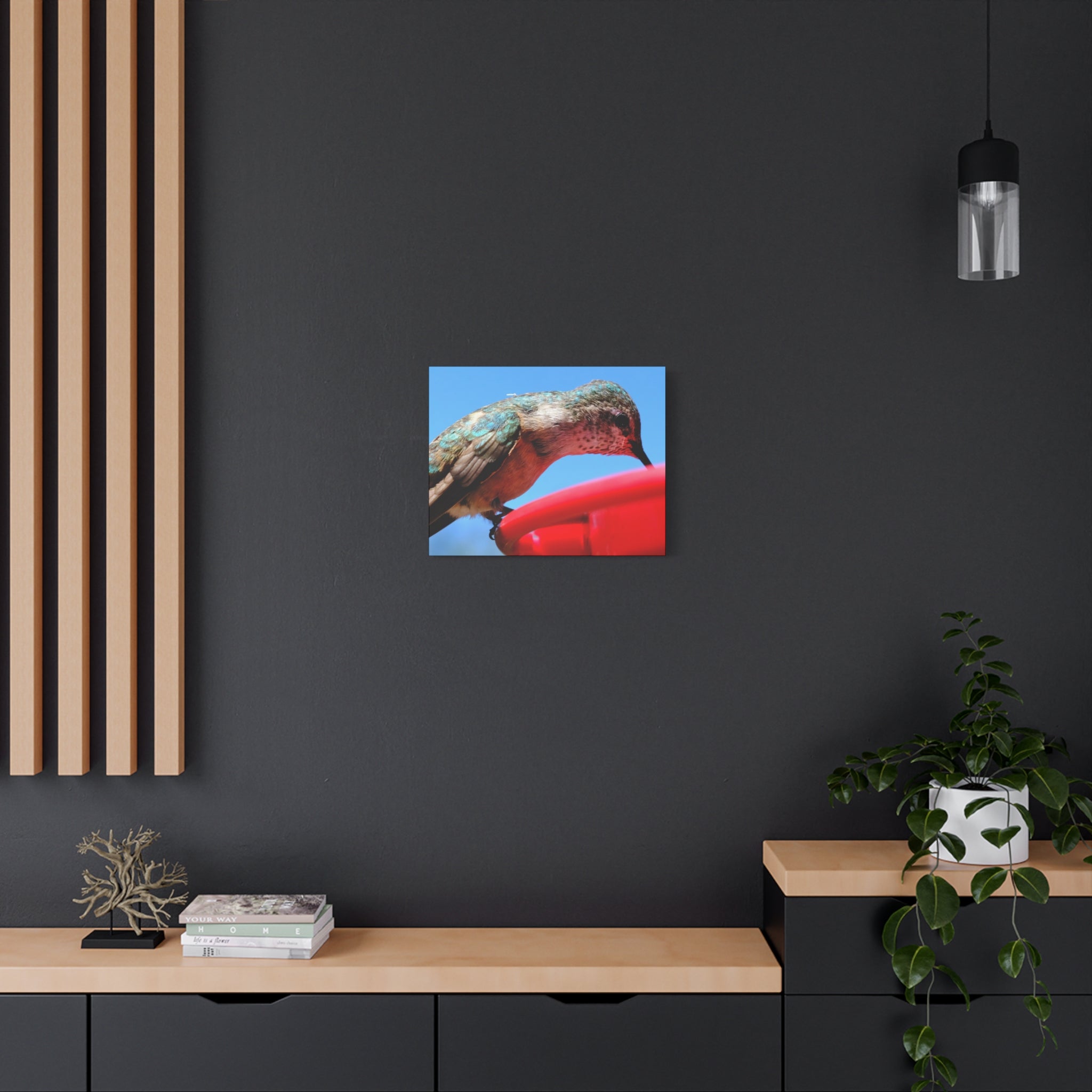 Hummingbird Close Up Canvas Print — Stretched Matte Wall Art