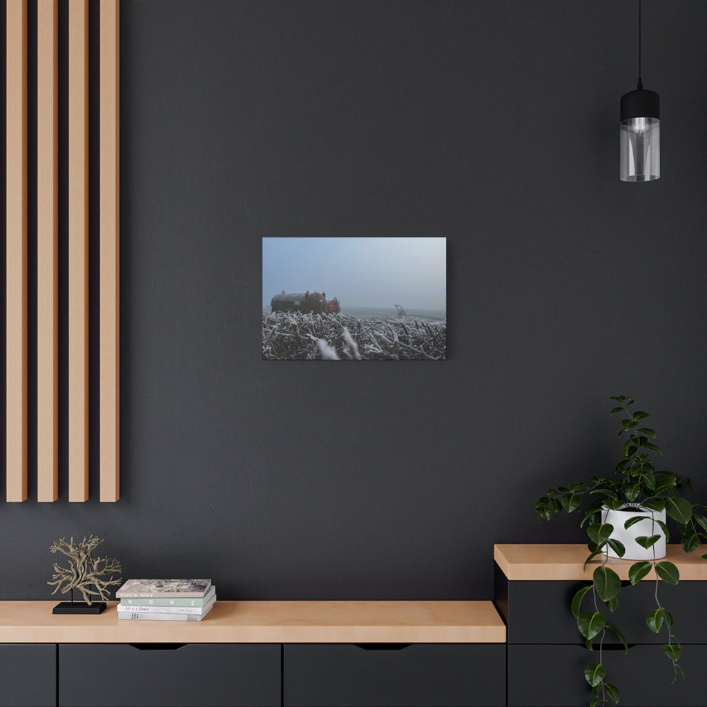 Irish Frost Farm Canvas Print — Foggy Shoreline with Frosted Driftwood