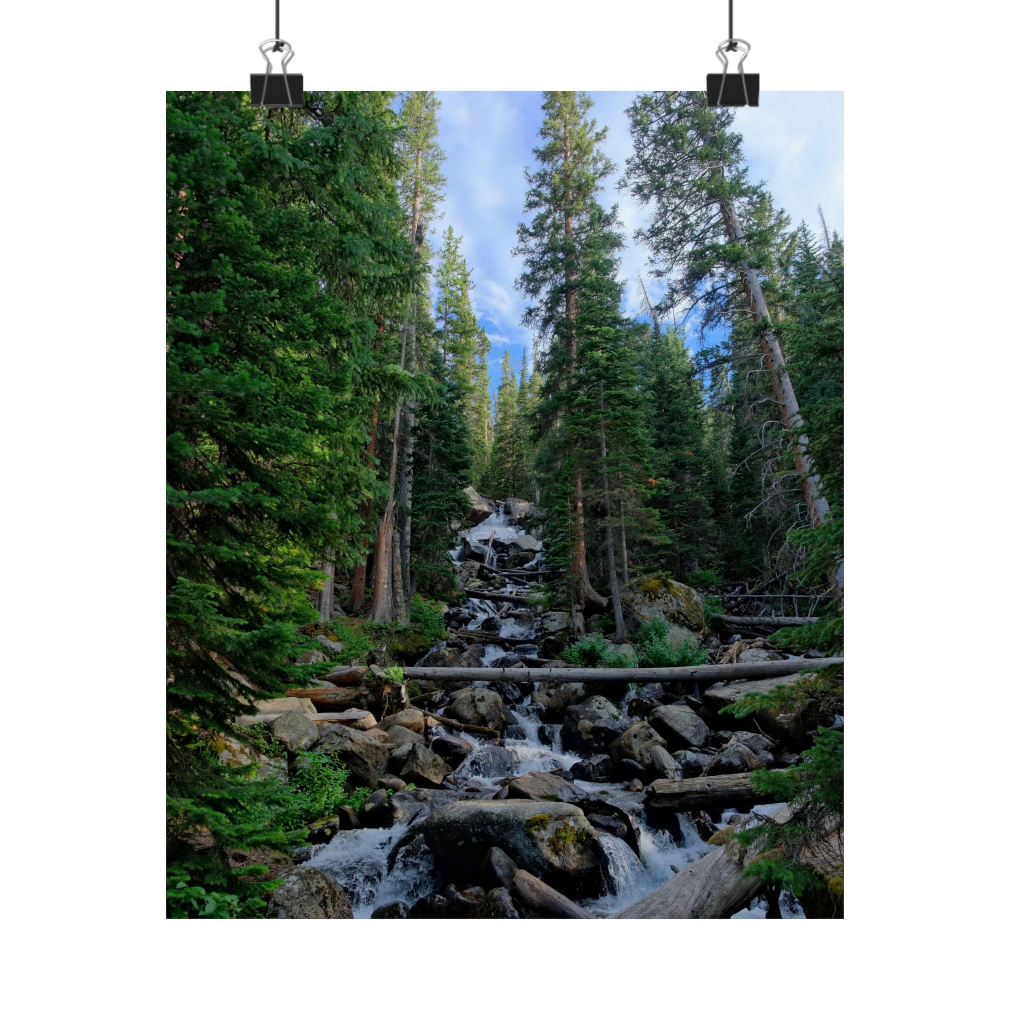 Mountain Stream Forest Matte Poster — Vertical Nature Wall Art