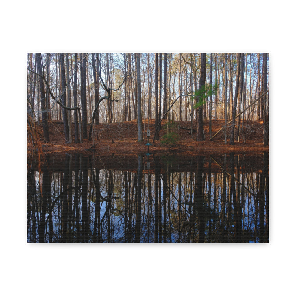 Woodland Reflection Matte Canvas Art – Stretched 1.25" Wall Decor