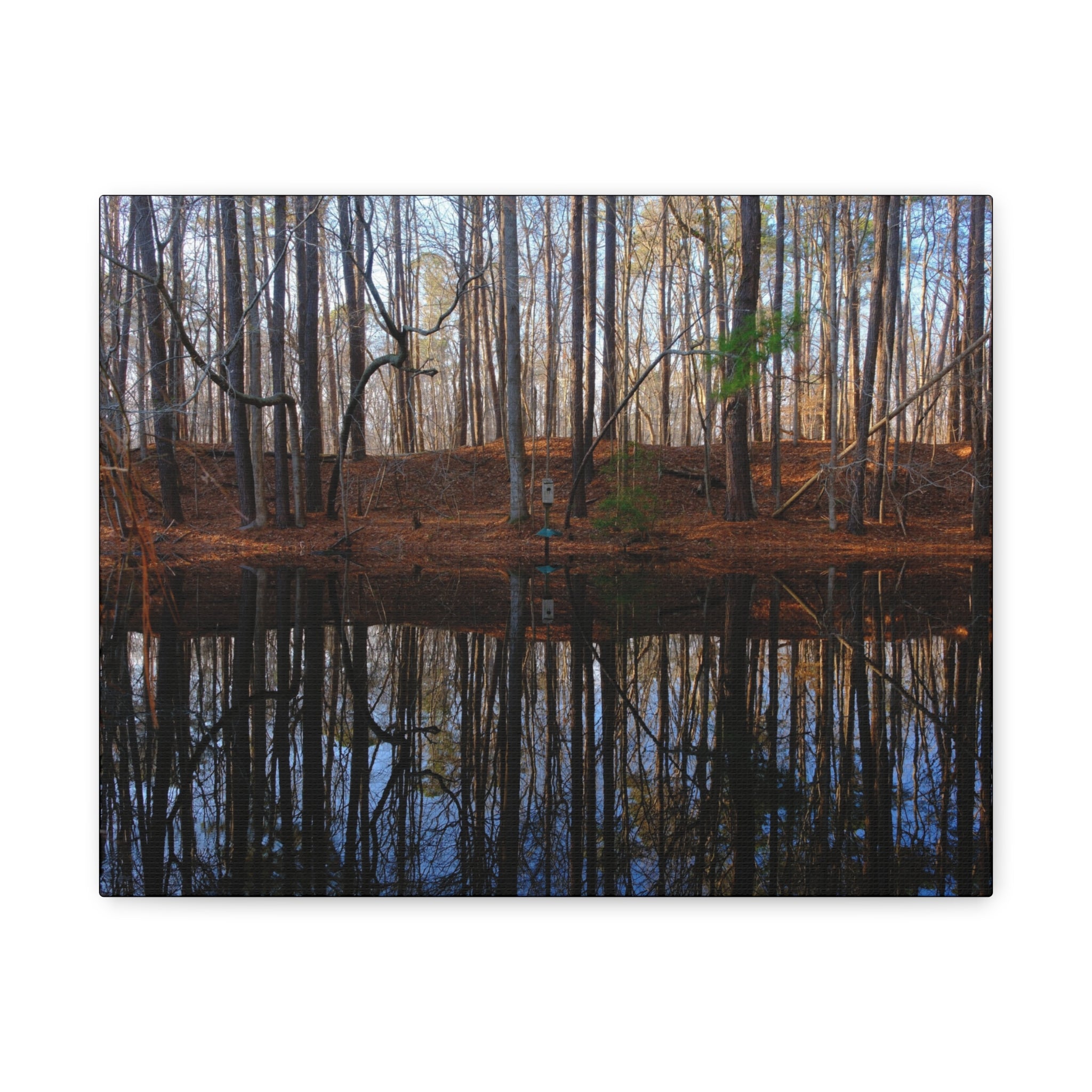 Woodland Reflection Matte Canvas Art – Stretched 1.25" Wall Decor