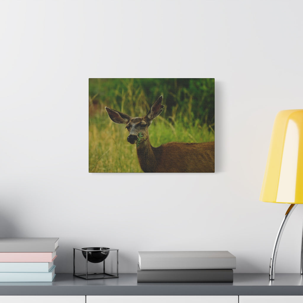 Doe Portrait Matte Canvas Wall Art