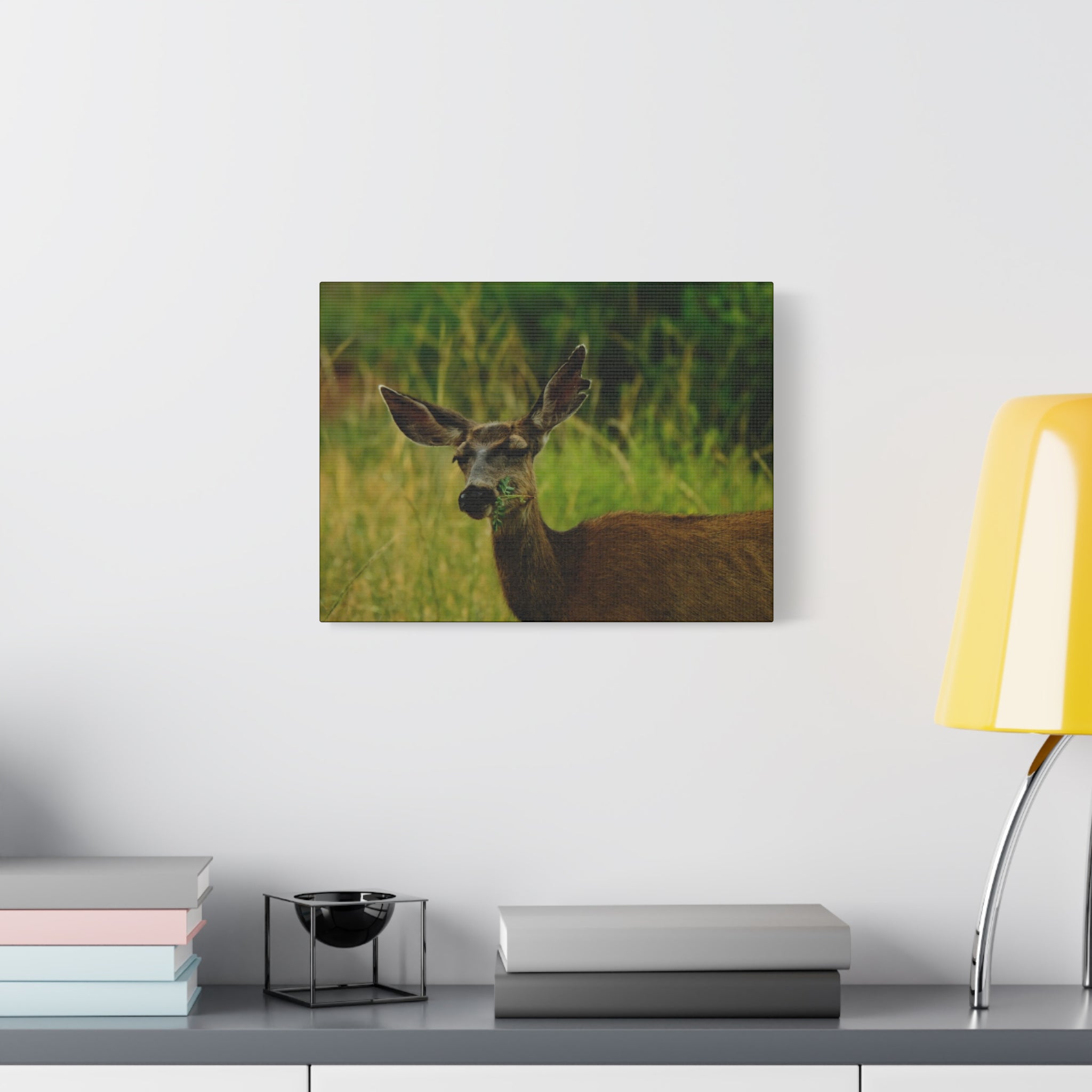 Doe Portrait Matte Canvas Wall Art