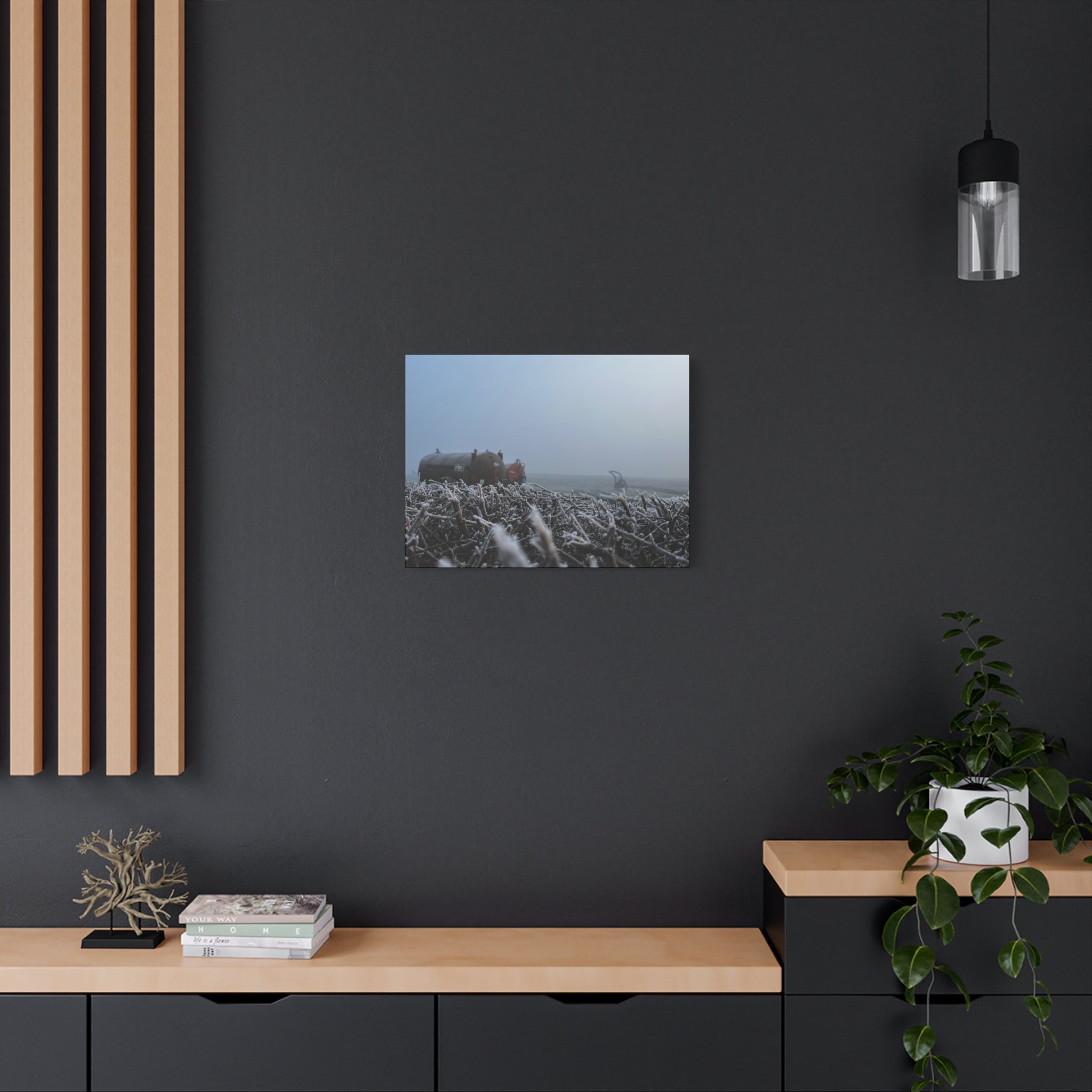 Irish Frost Farm Canvas Print — Foggy Shoreline with Frosted Driftwood