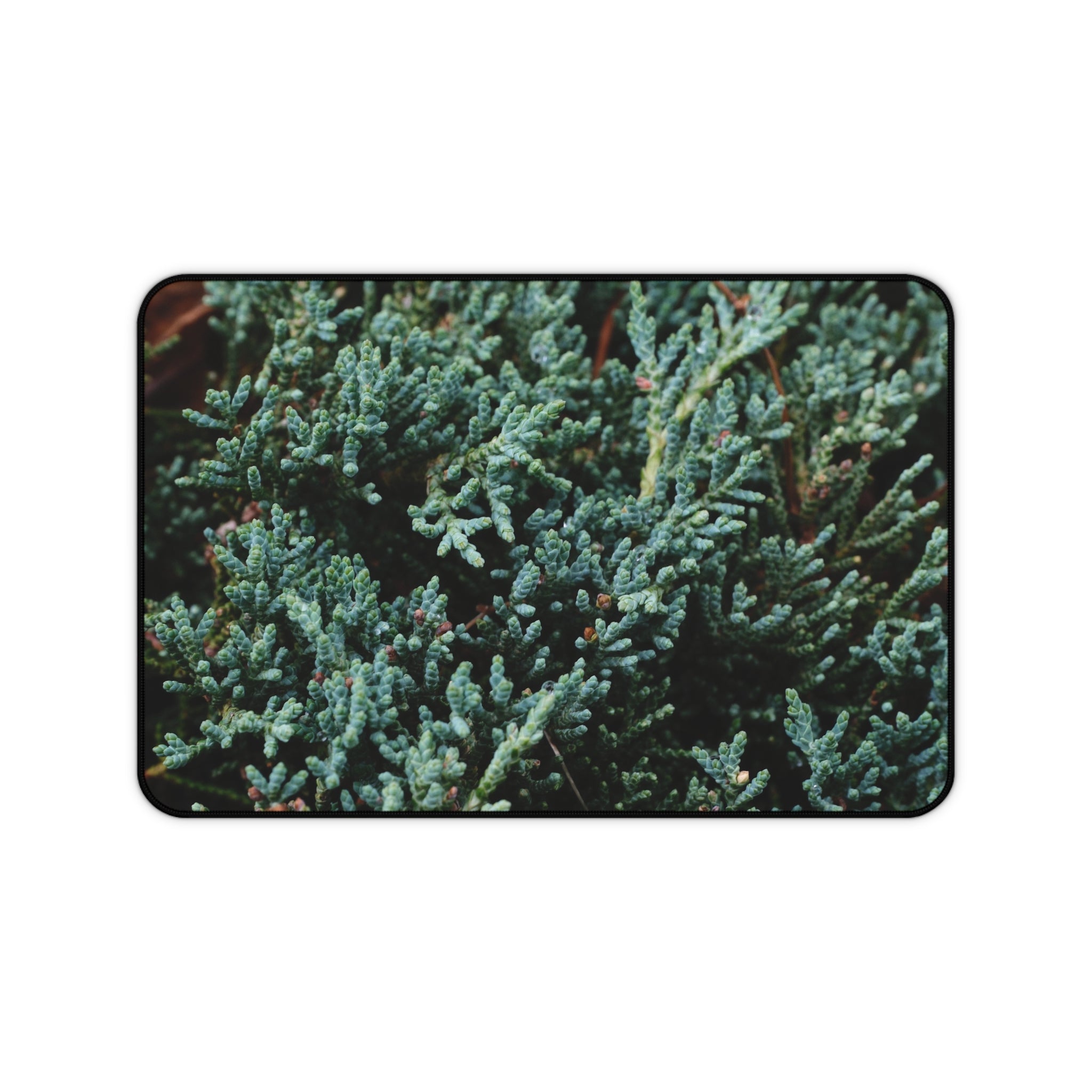 Evergreen Juniper Desk Mat — Forest Green Botanical Mouse Pad