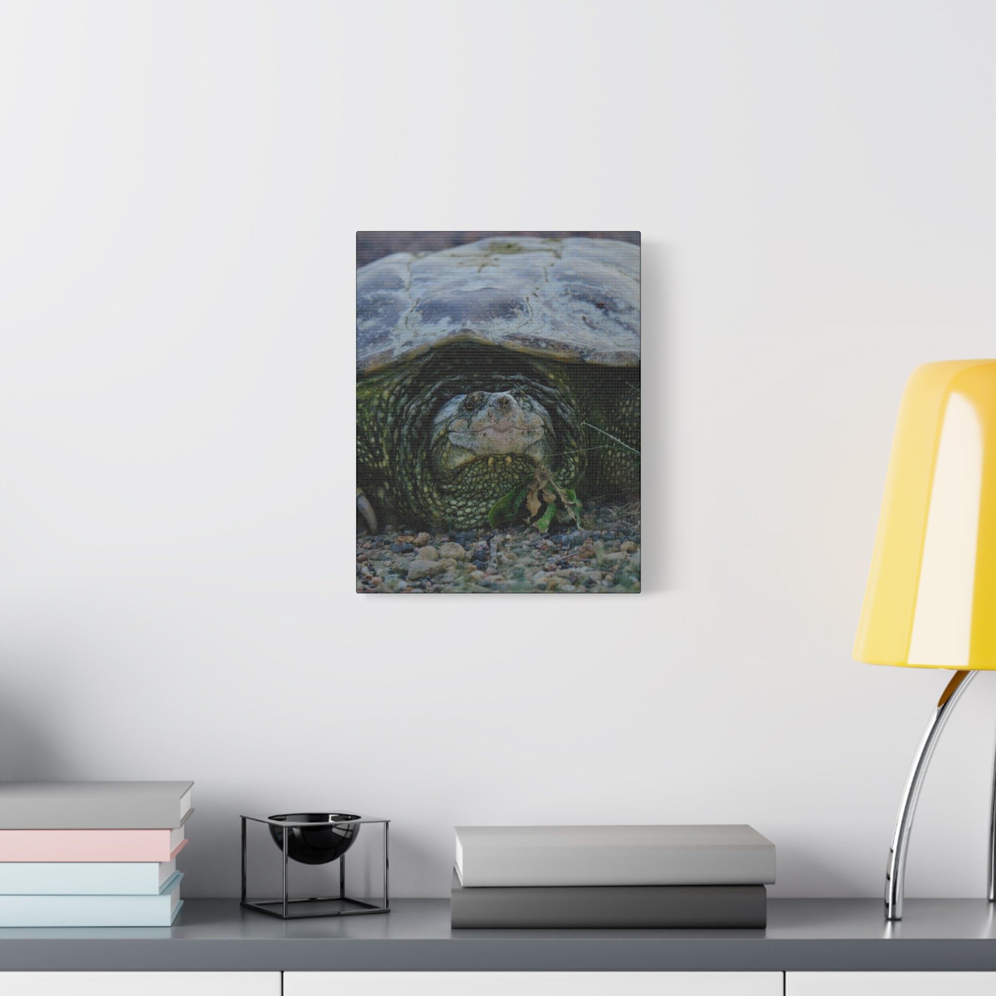 Snapping Turtle Matte Canvas Print – Wildlife Photography Wall Art