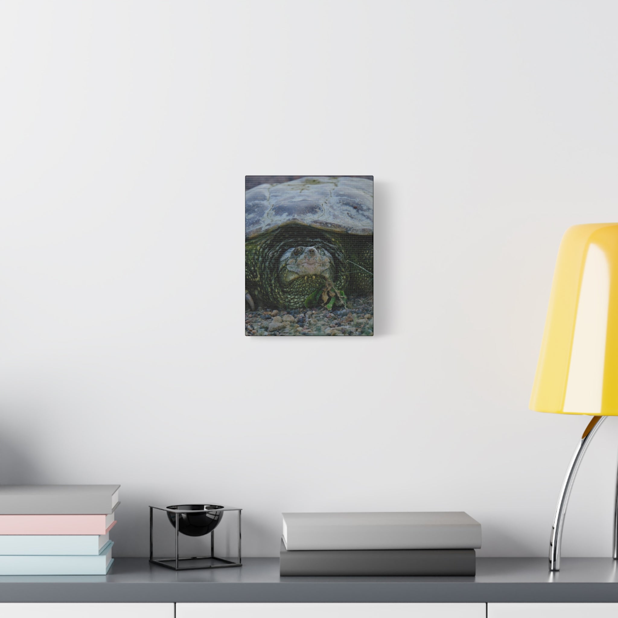 Snapping Turtle Matte Canvas Print – Wildlife Photography Wall Art