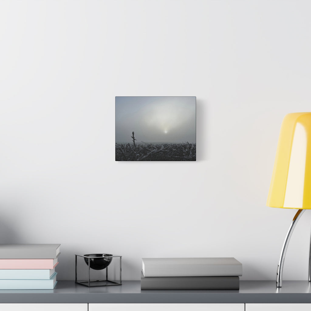 Foggy Sunrise Matte Canvas Wall Art – Moody Winter Landscape