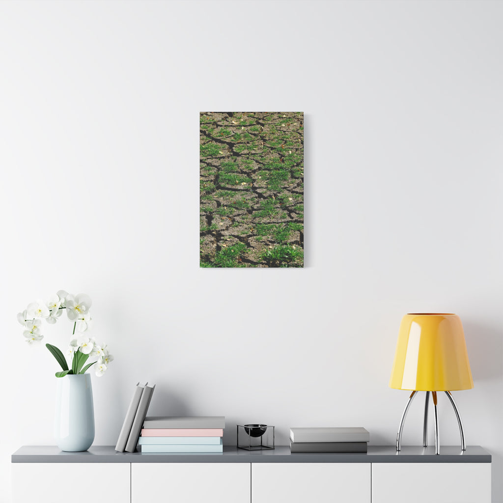 Life Finds A Way Canvas Print — Cracked Earth with Green Grass Matte Stretched Canvas (1.25")