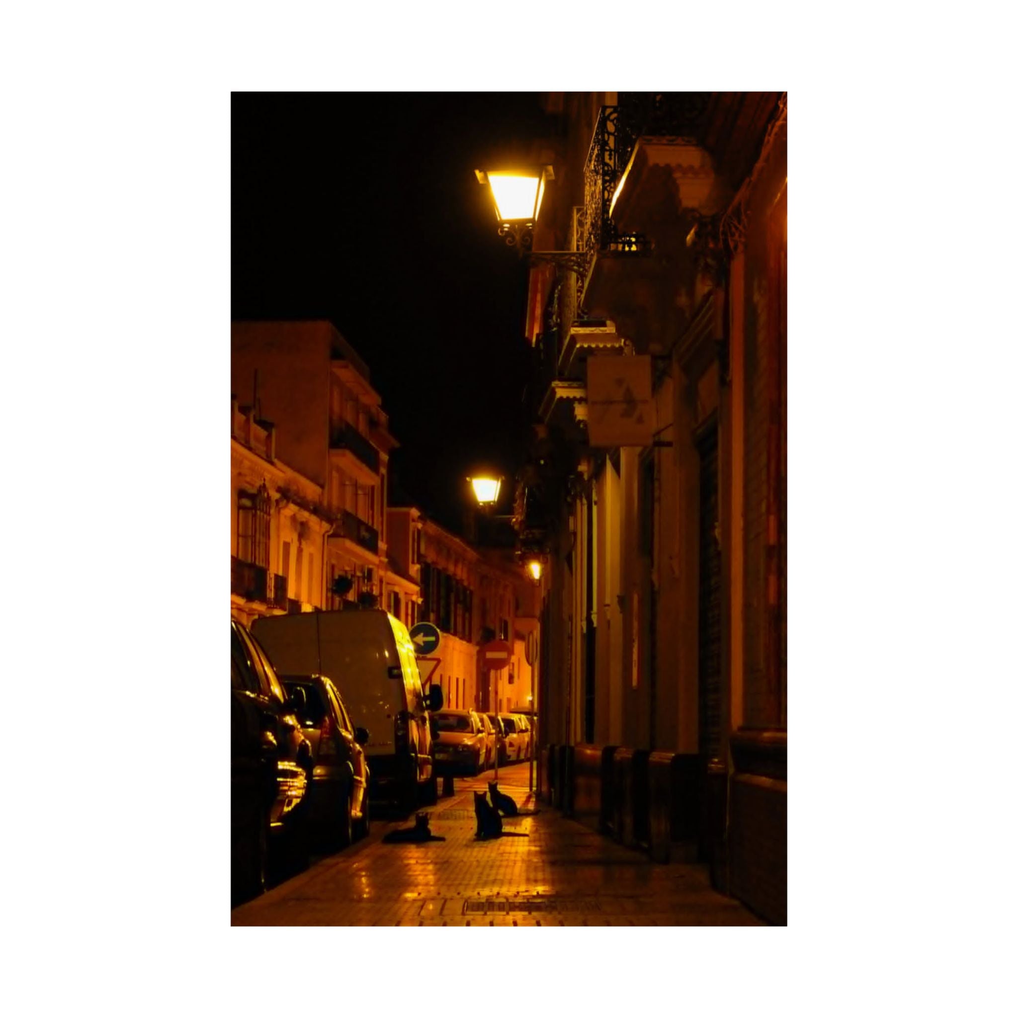 Secret Spanish Cat Committee Vertical Poster — Nighttime European Street with Warm Lamp Glow