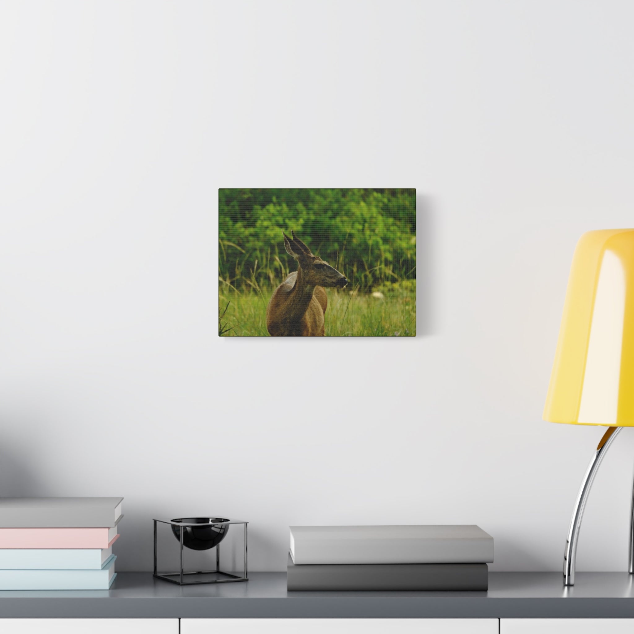 Doe in Meadow Matte Stretched Canvas (1.25") — Wildlife Wall Art