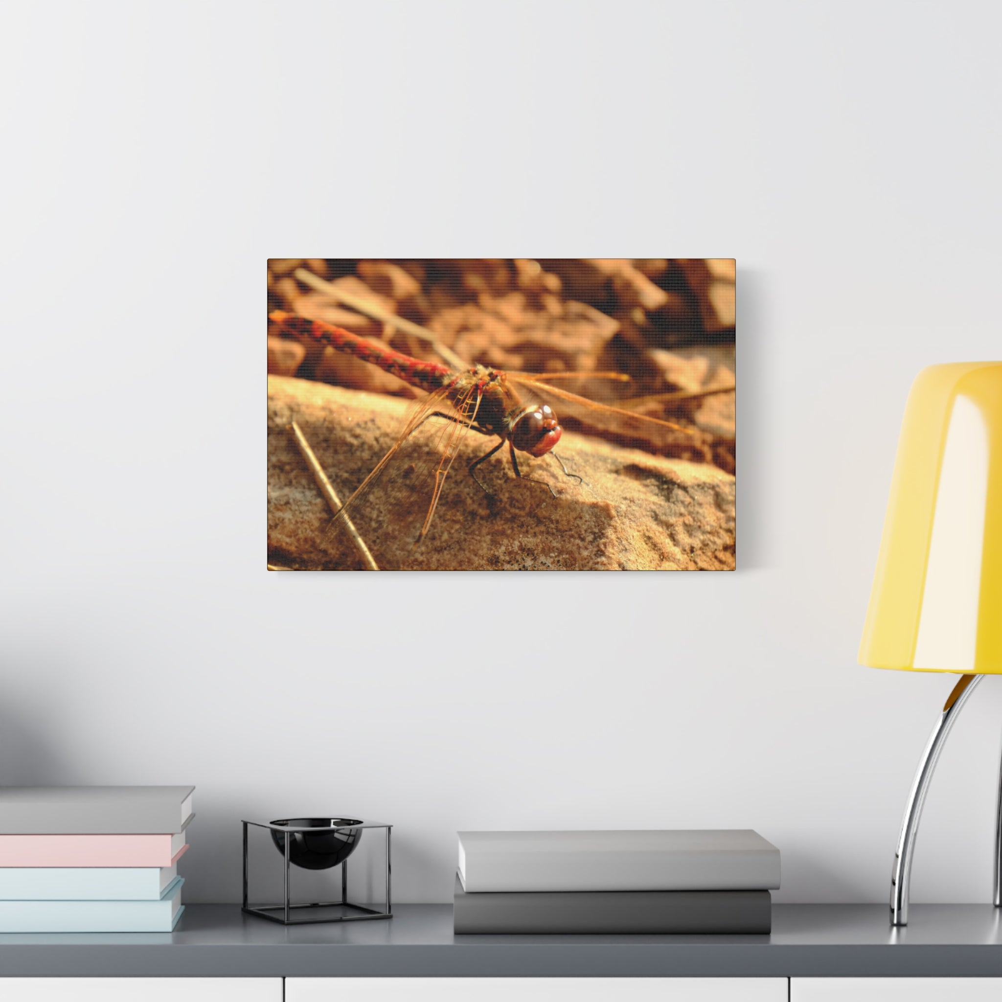 Dragonfly Macro Canvas Print — Close-Up Nature Wall Art, Rustic Insect Photography