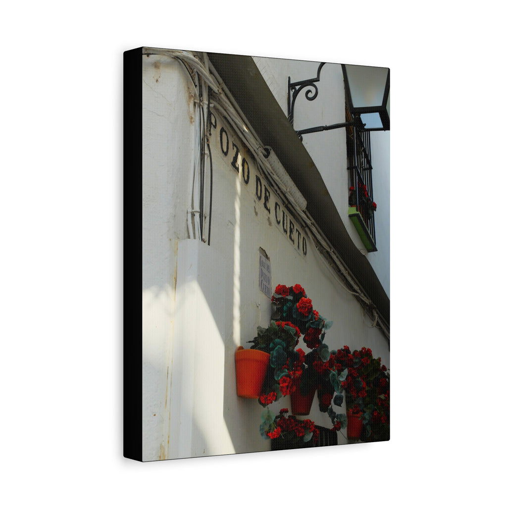 Spanish Street Flowers Canvas Print — 'Pozo de Cueto' Wall Art