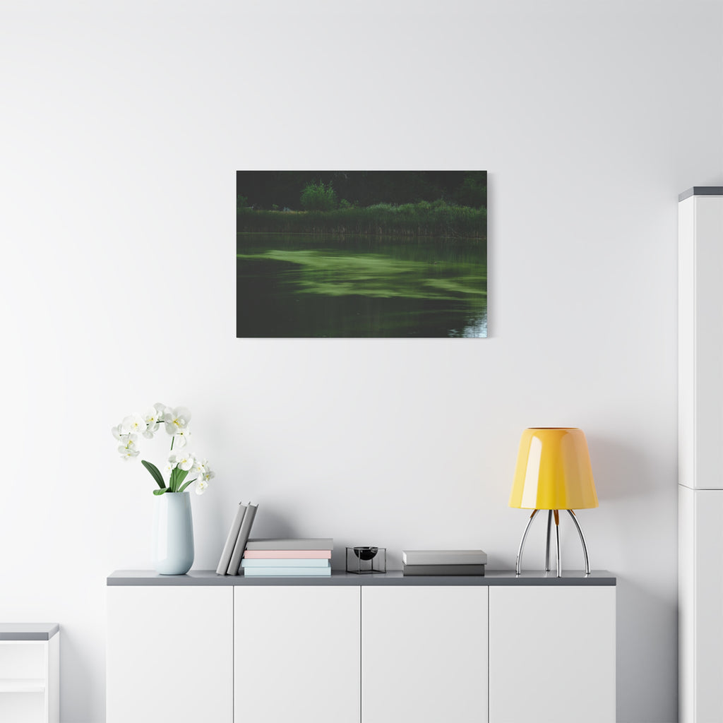 Not Your Average Bloom - Matte Canvas Wall Art Stretched 1.25"