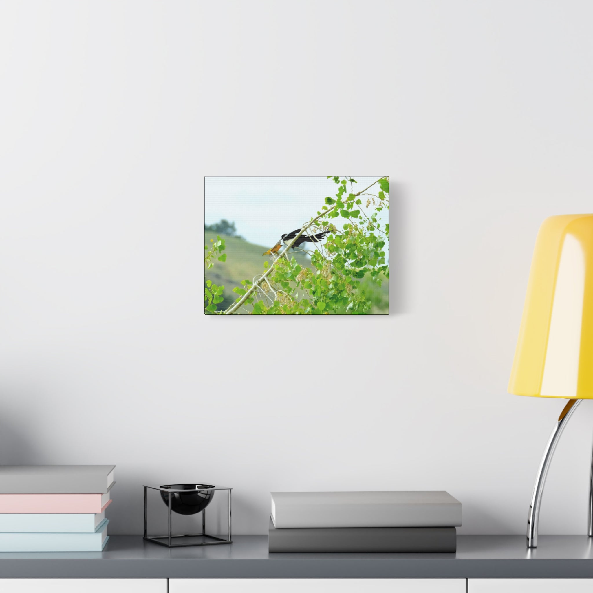 Oriole & Magpie Battle on an Aspen Branch - Matte Stretched Canvas Wall Art