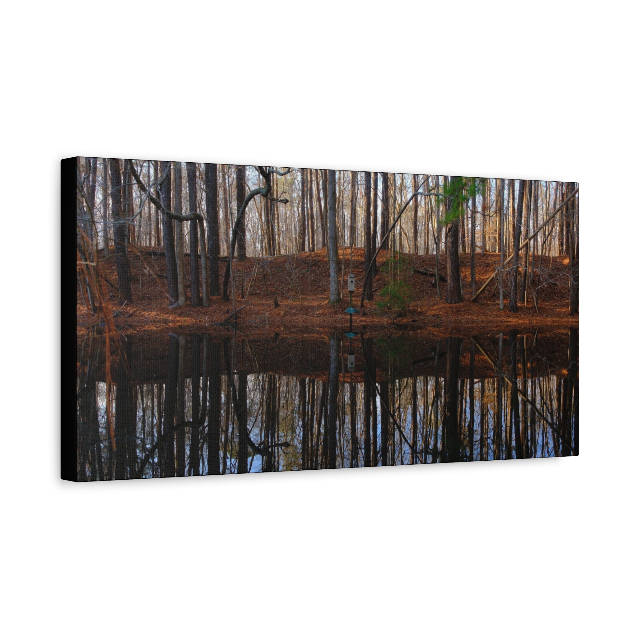Woodland Reflection Matte Canvas Art – Stretched 1.25" Wall Decor