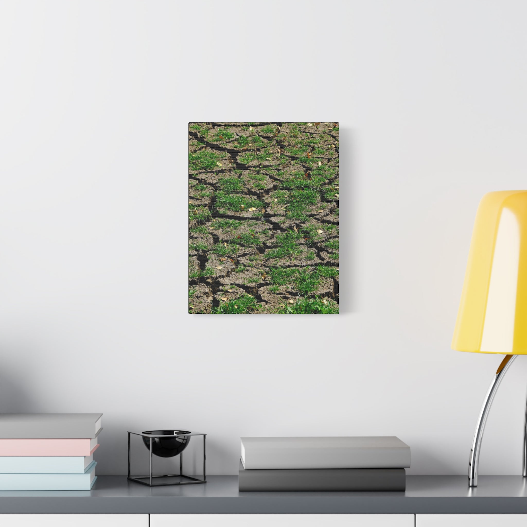 Life Finds A Way Canvas Print — Cracked Earth with Green Grass Matte Stretched Canvas (1.25")