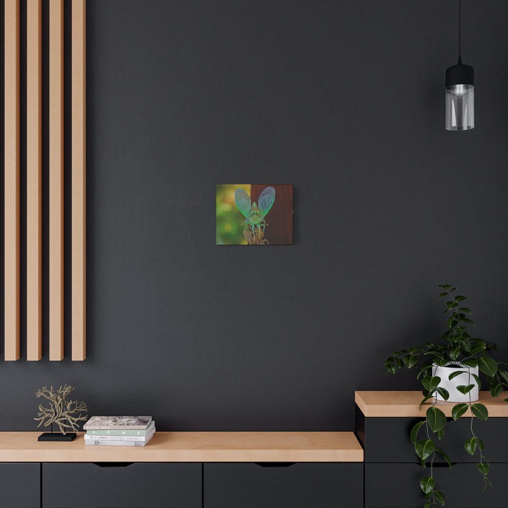 The Cutest Green Cicada Canvas Print - Matte Stretched Wall Art