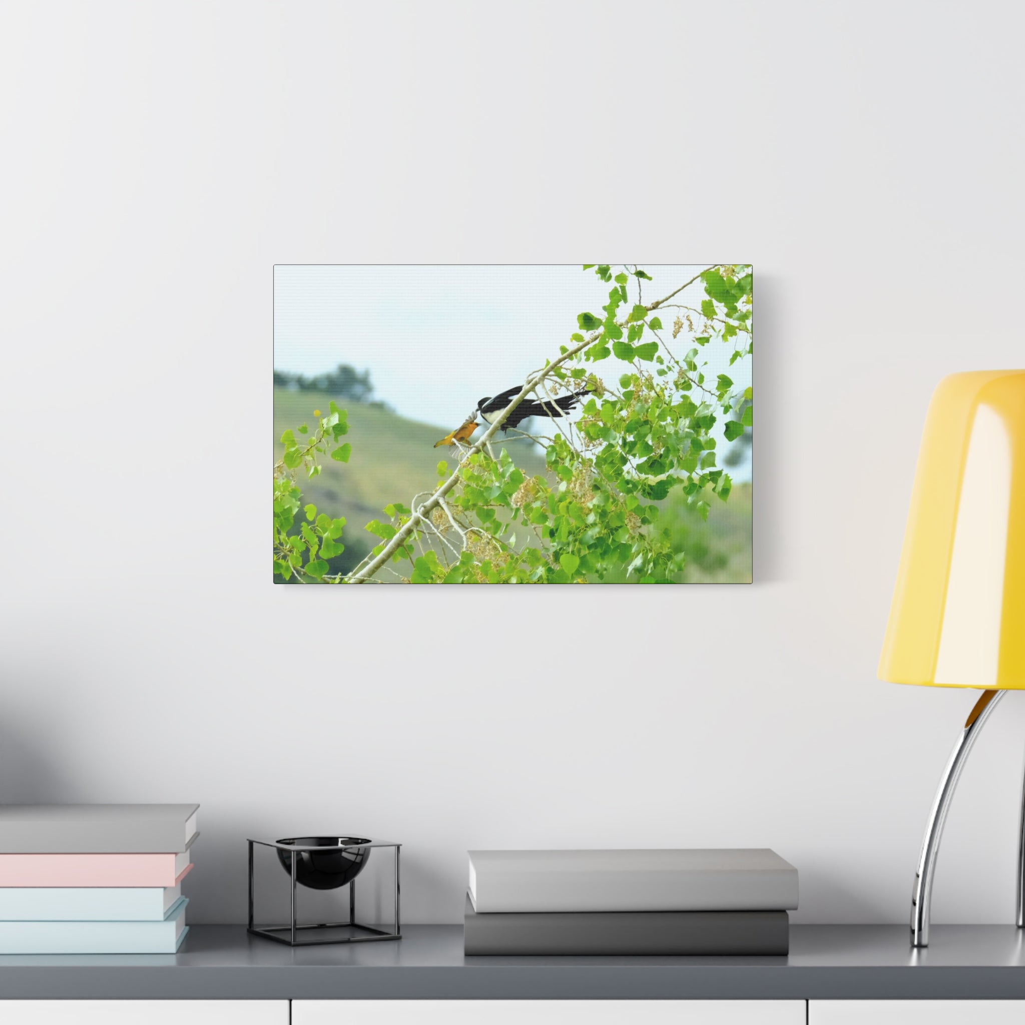 Oriole & Magpie Battle on an Aspen Branch - Matte Stretched Canvas Wall Art